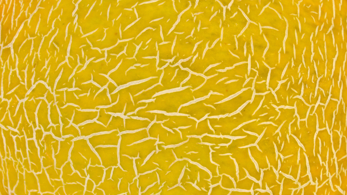Gelb-weißes Florales Textil. Wallpaper in 1366x768 Resolution