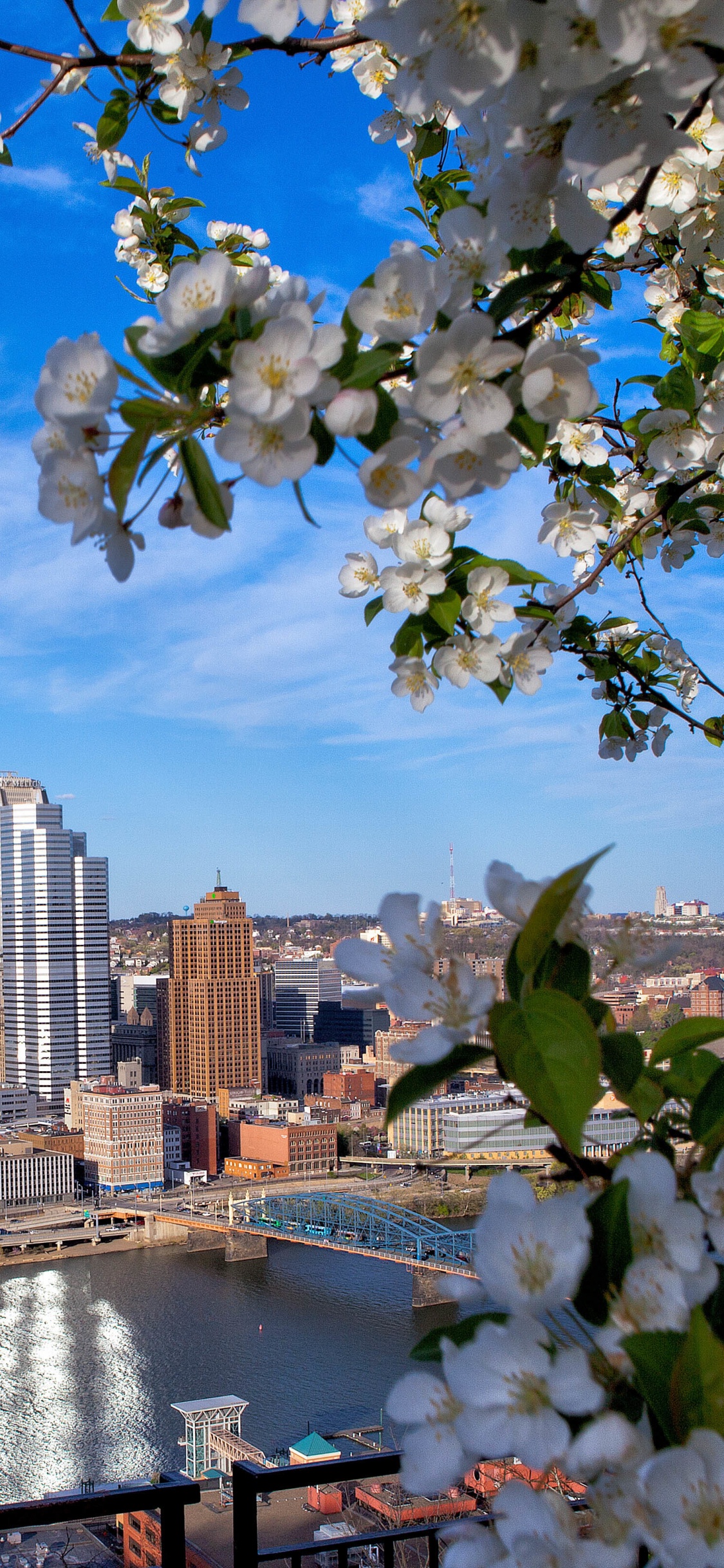 City Skyline Under Blue Sky and White Clouds During Daytime. Wallpaper in 1125x2436 Resolution