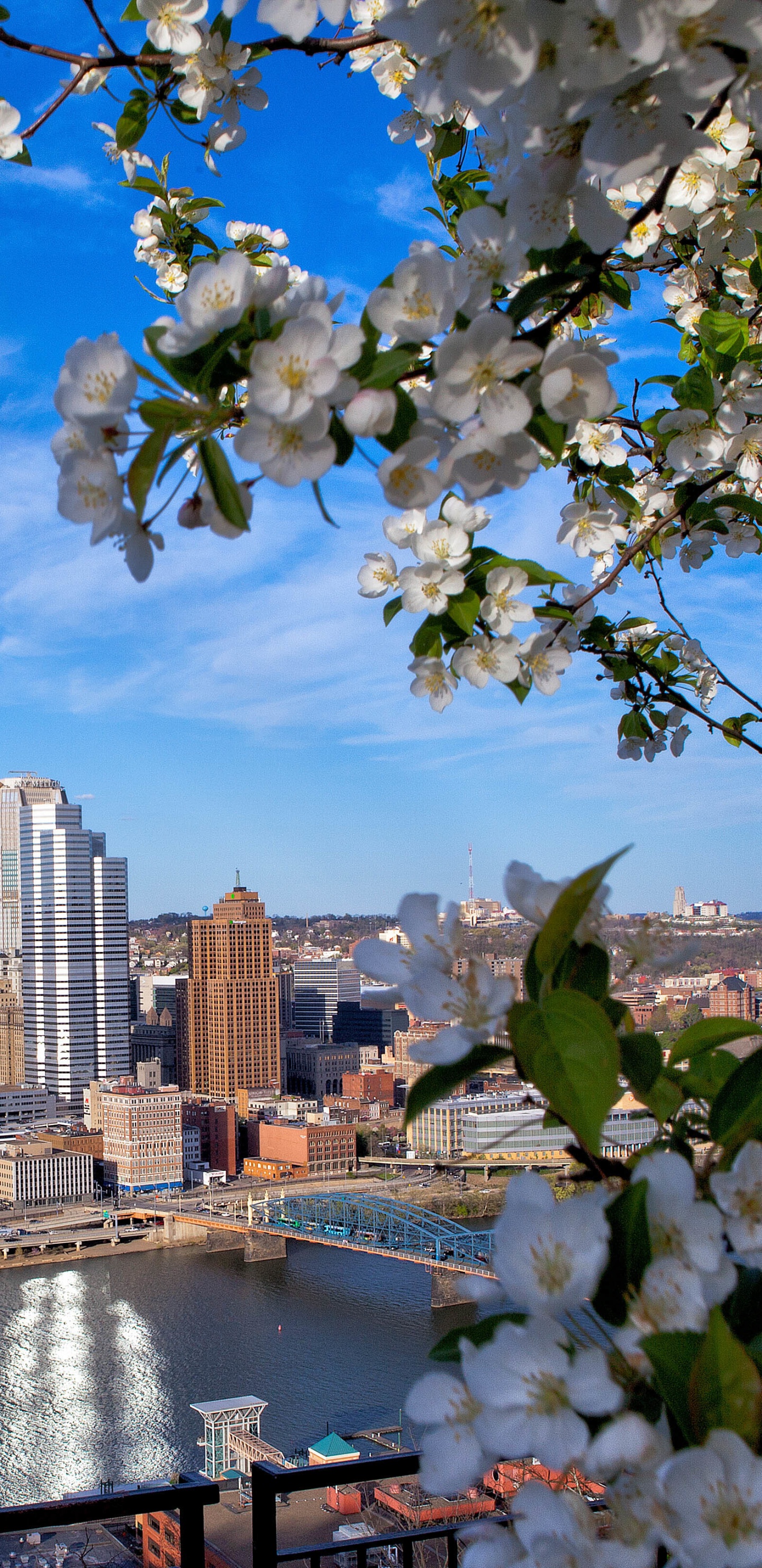 City Skyline Under Blue Sky and White Clouds During Daytime. Wallpaper in 1440x2960 Resolution