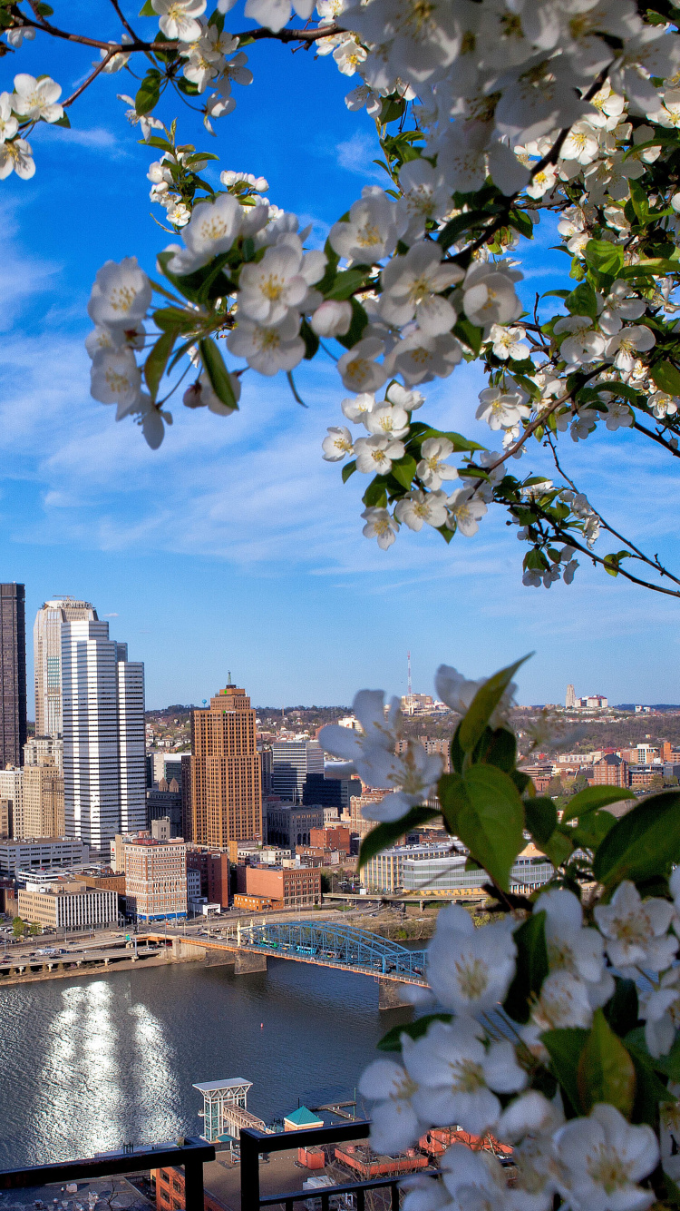 City Skyline Under Blue Sky and White Clouds During Daytime. Wallpaper in 750x1334 Resolution