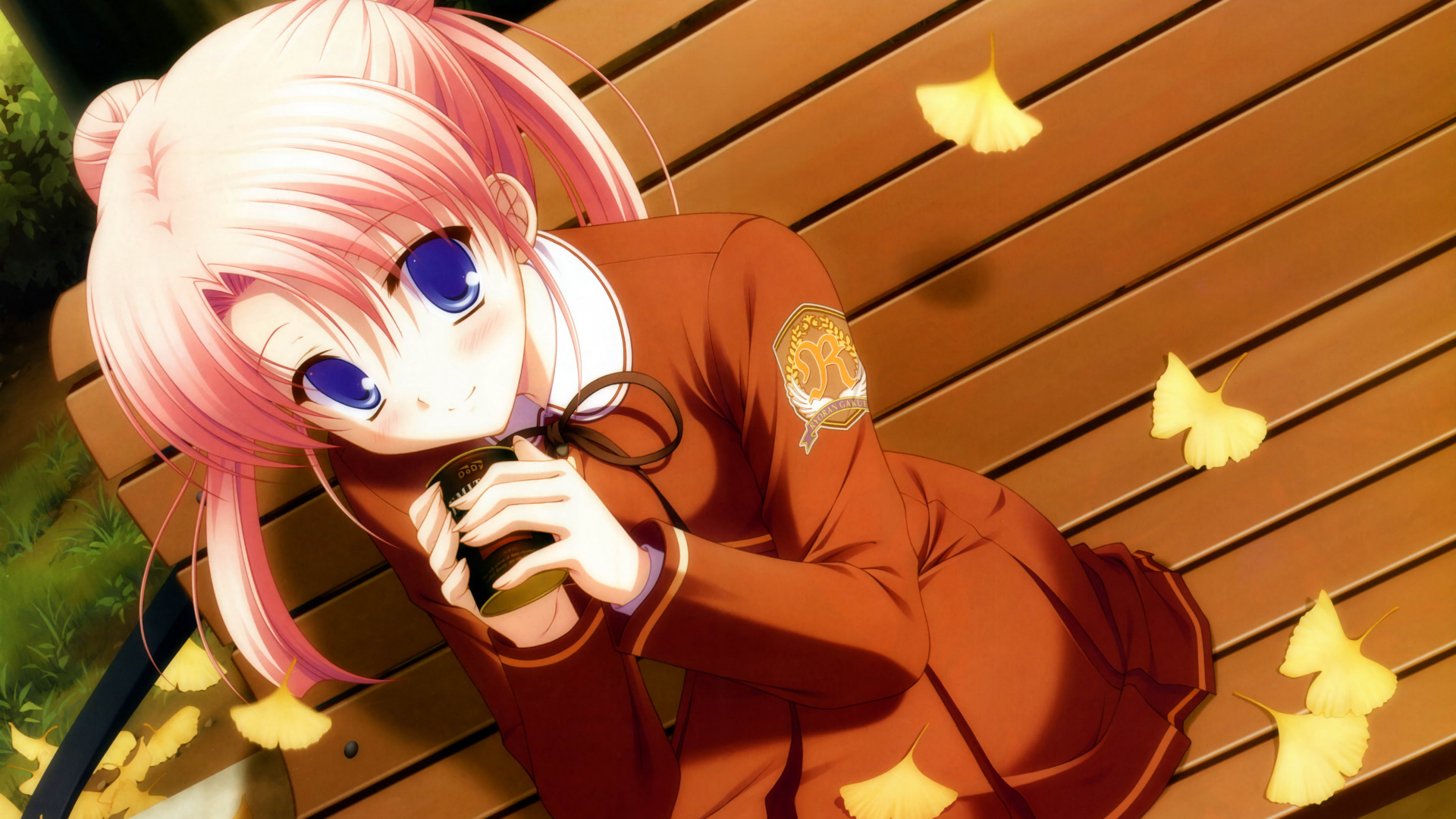Girl in Brown Long Sleeve Shirt Anime Character. Wallpaper in 1920x1080 Resolution