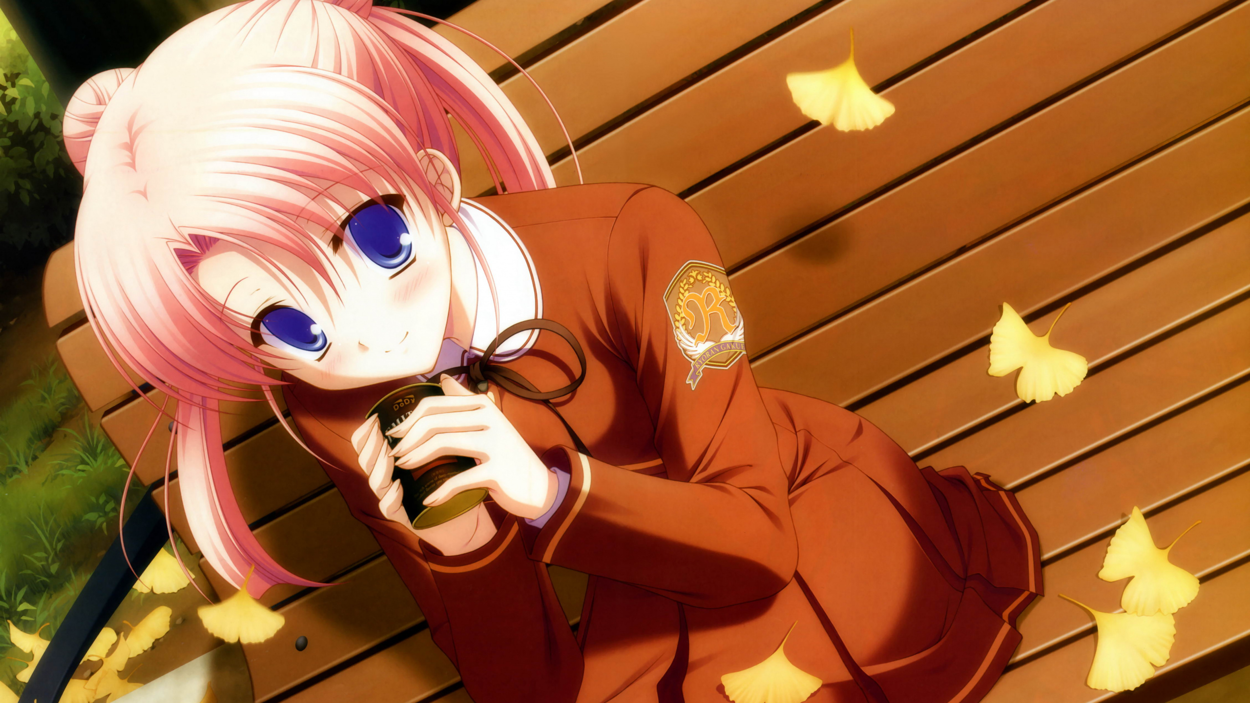 Girl in Brown Long Sleeve Shirt Anime Character. Wallpaper in 2560x1440 Resolution