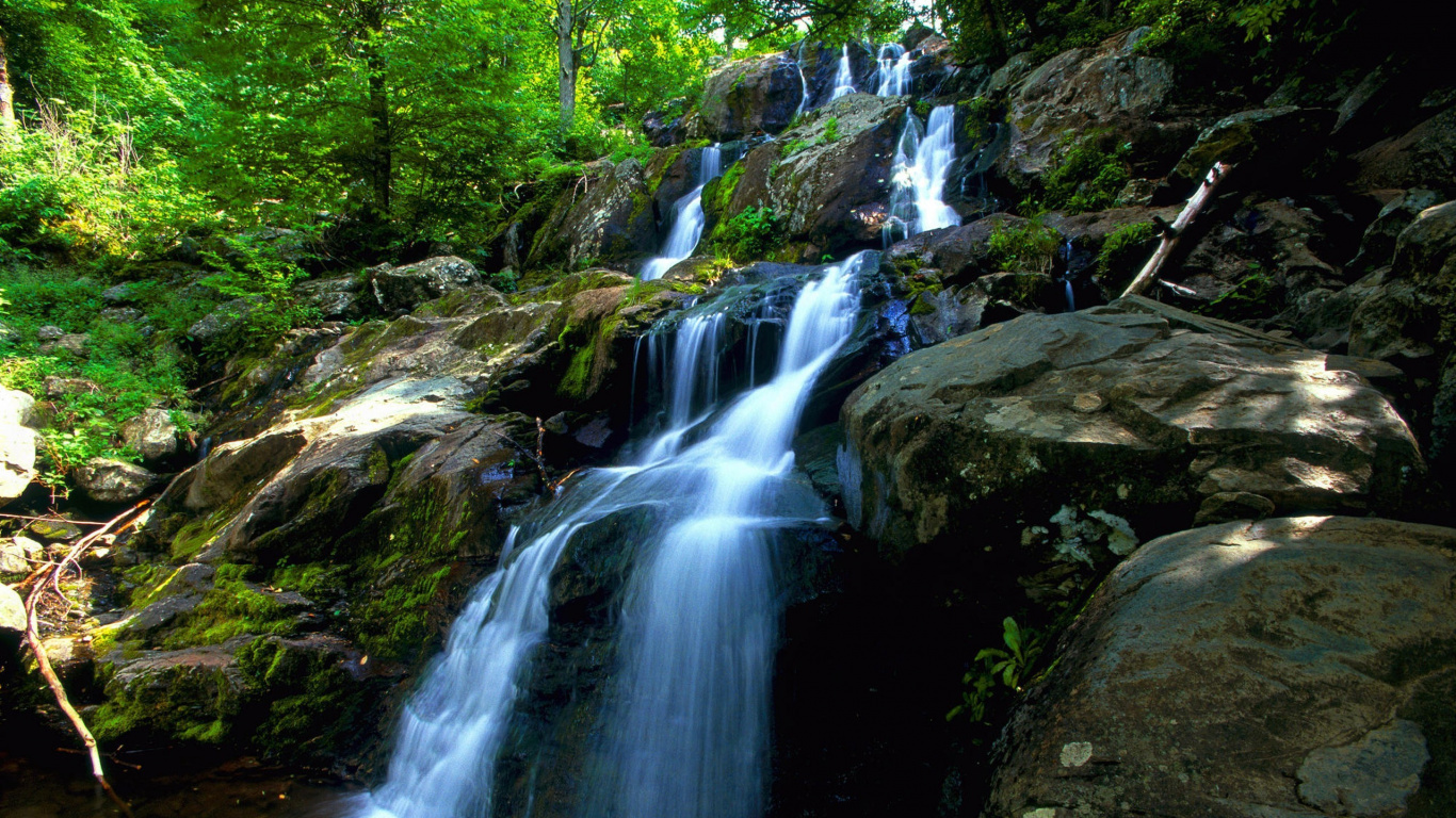 el Agua Cae en Medio Del Bosque. Wallpaper in 1366x768 Resolution