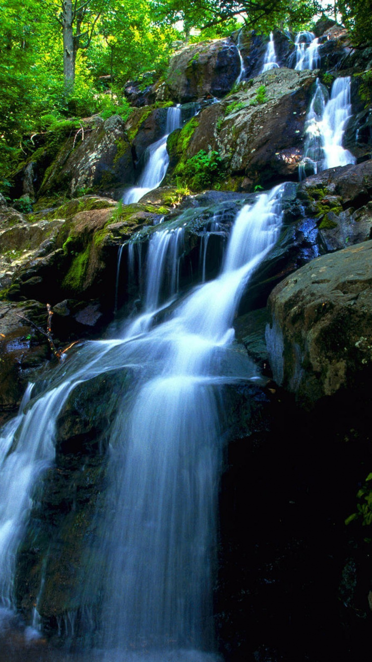 Water Falls in The Middle of The Forest. Wallpaper in 750x1334 Resolution