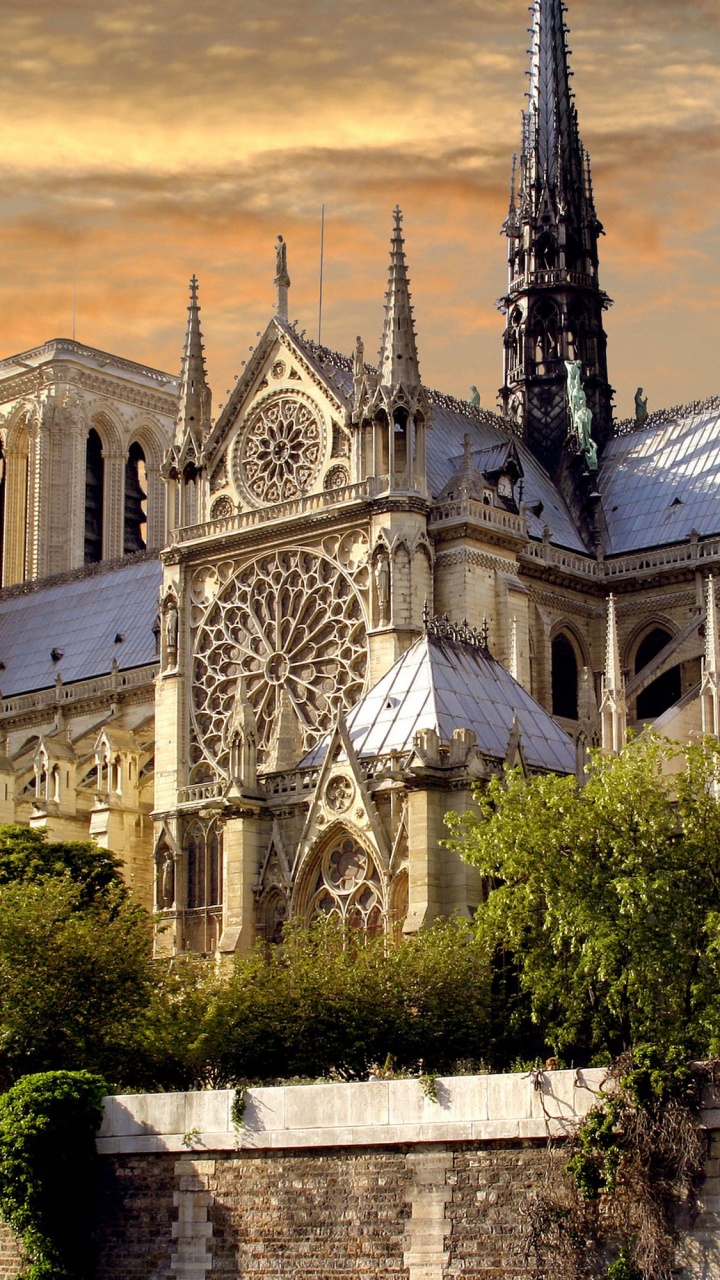 Grey Concrete Building Near Green Trees During Daytime. Wallpaper in 720x1280 Resolution