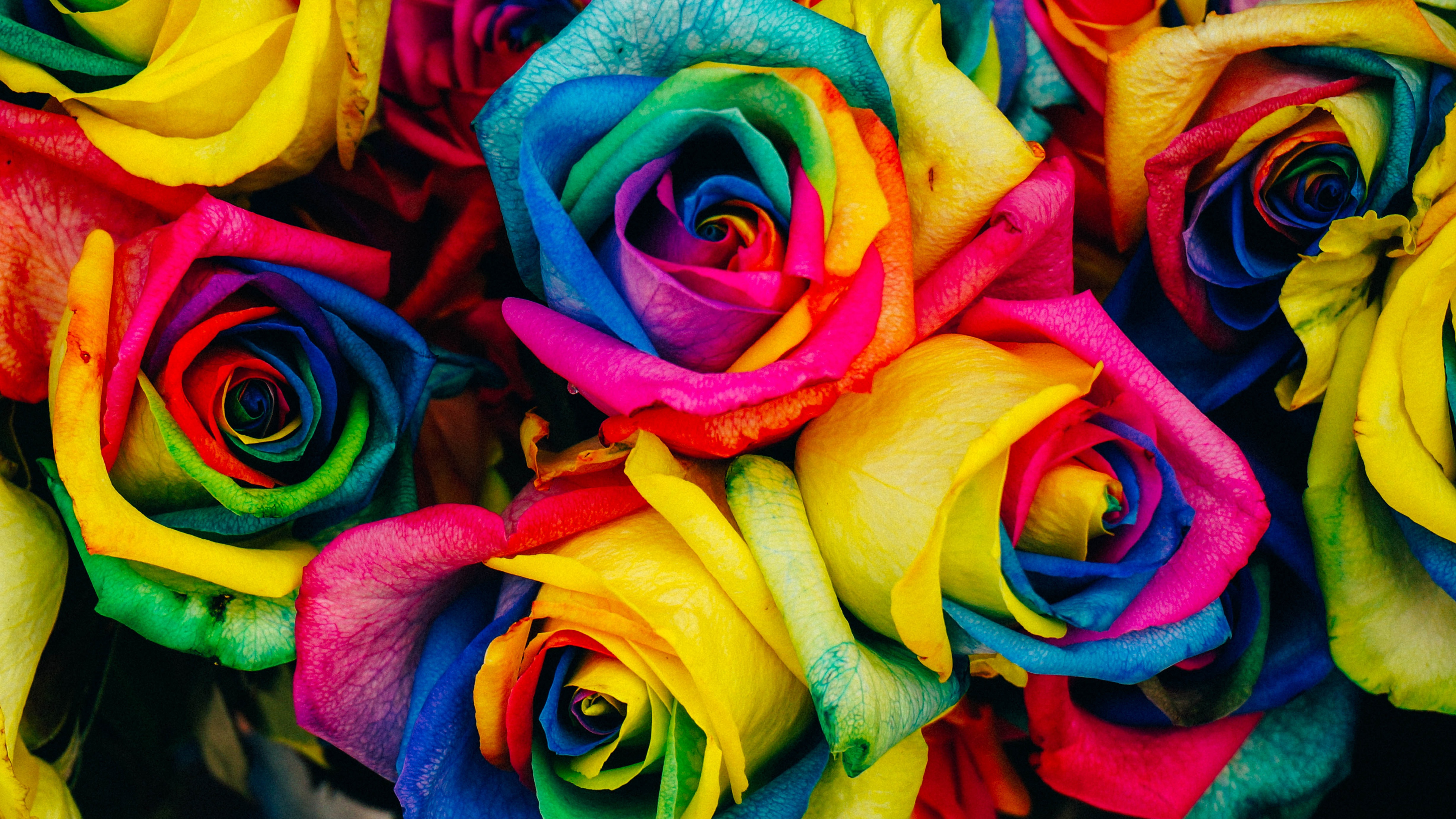 Fondos de Pantalla 4K Ultra HD Ramo de Flores, Imágenes HD Ramo de Flores, Descargar Imágenes Gratis 3840x2160 Fondos de Pantalla 4K Ultra HD Ramo de Flores, Imágenes HD Ramo de Flores, Descargar Imágenes Gratis 3840x2160