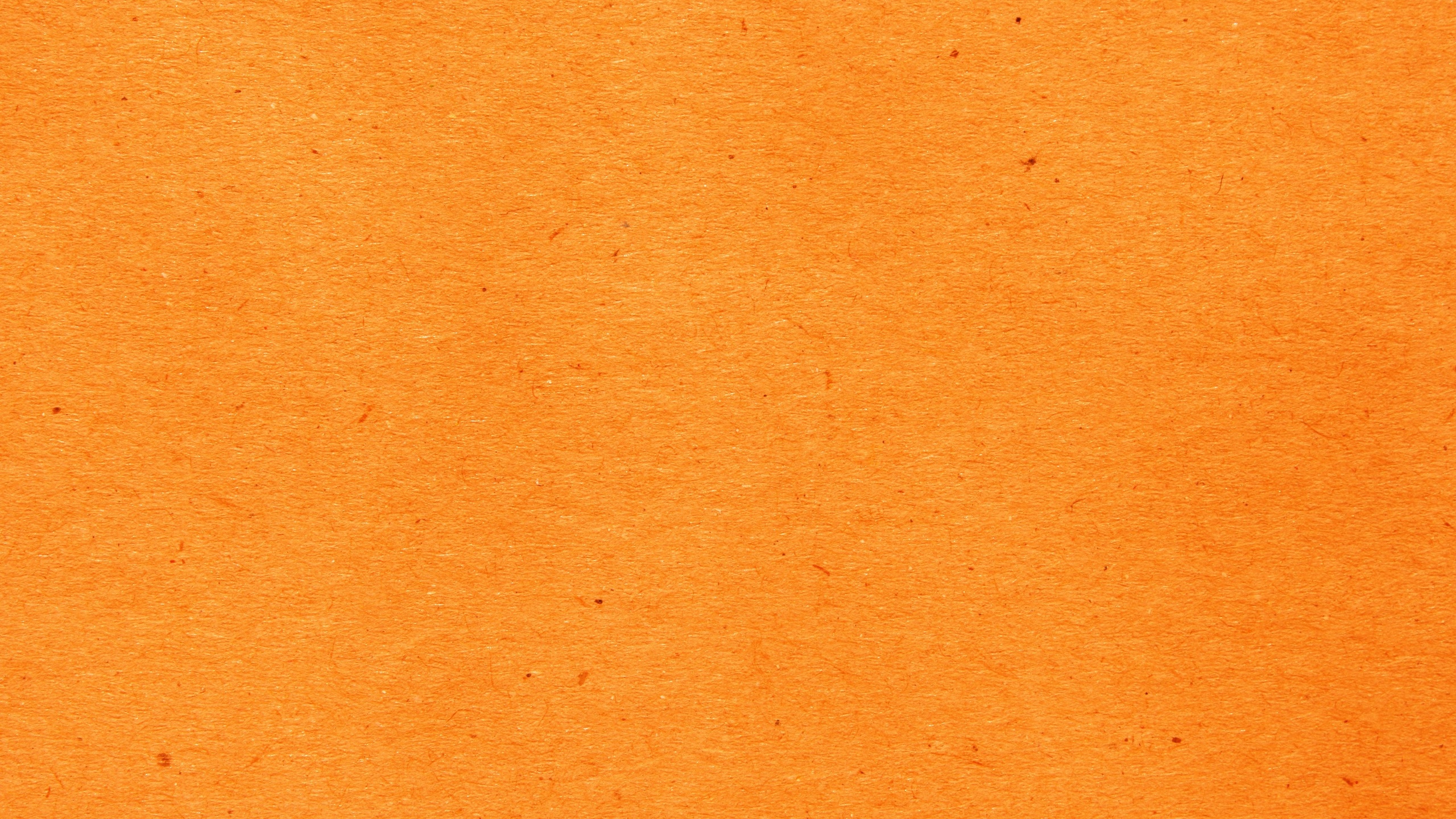 Braun-weiß Gestrichene Wand. Wallpaper in 2560x1440 Resolution