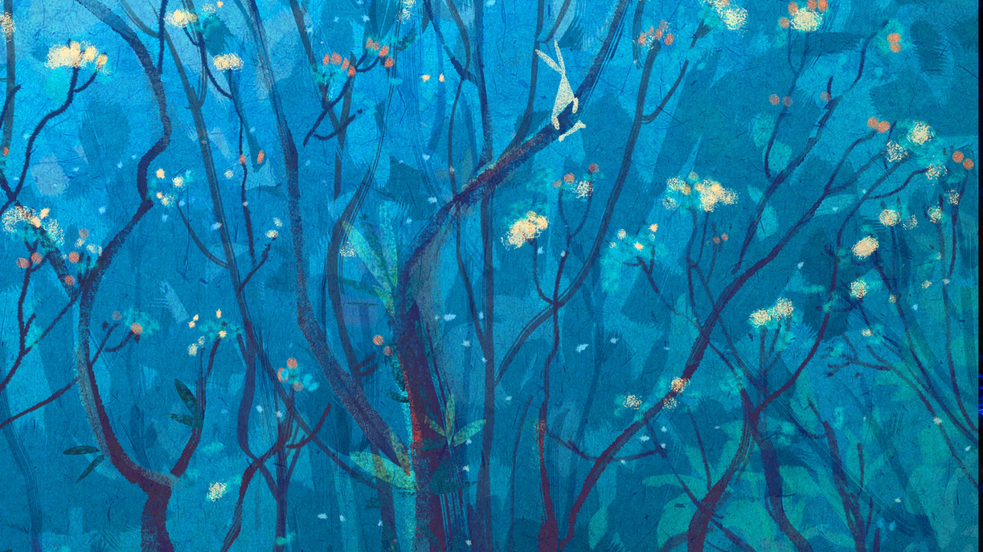 Huawei, Huawei Nova, Huawei Nova 4, Huawei Nova 5t, Huawei Nova 3. Wallpaper in 1920x1080 Resolution