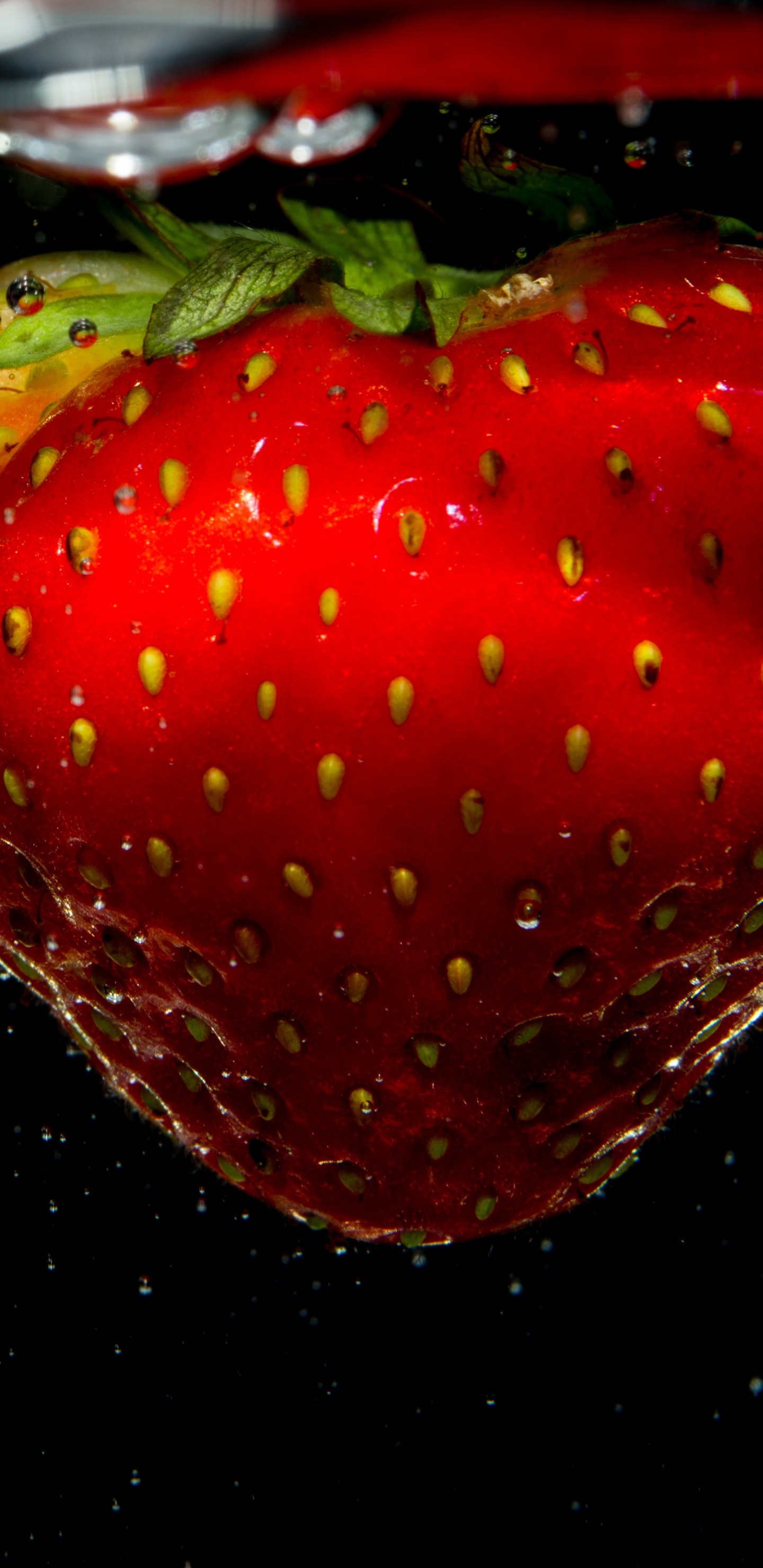 草莓, 红色的, 天然的食物, 器官, 工厂 壁纸 1440x2960 允许