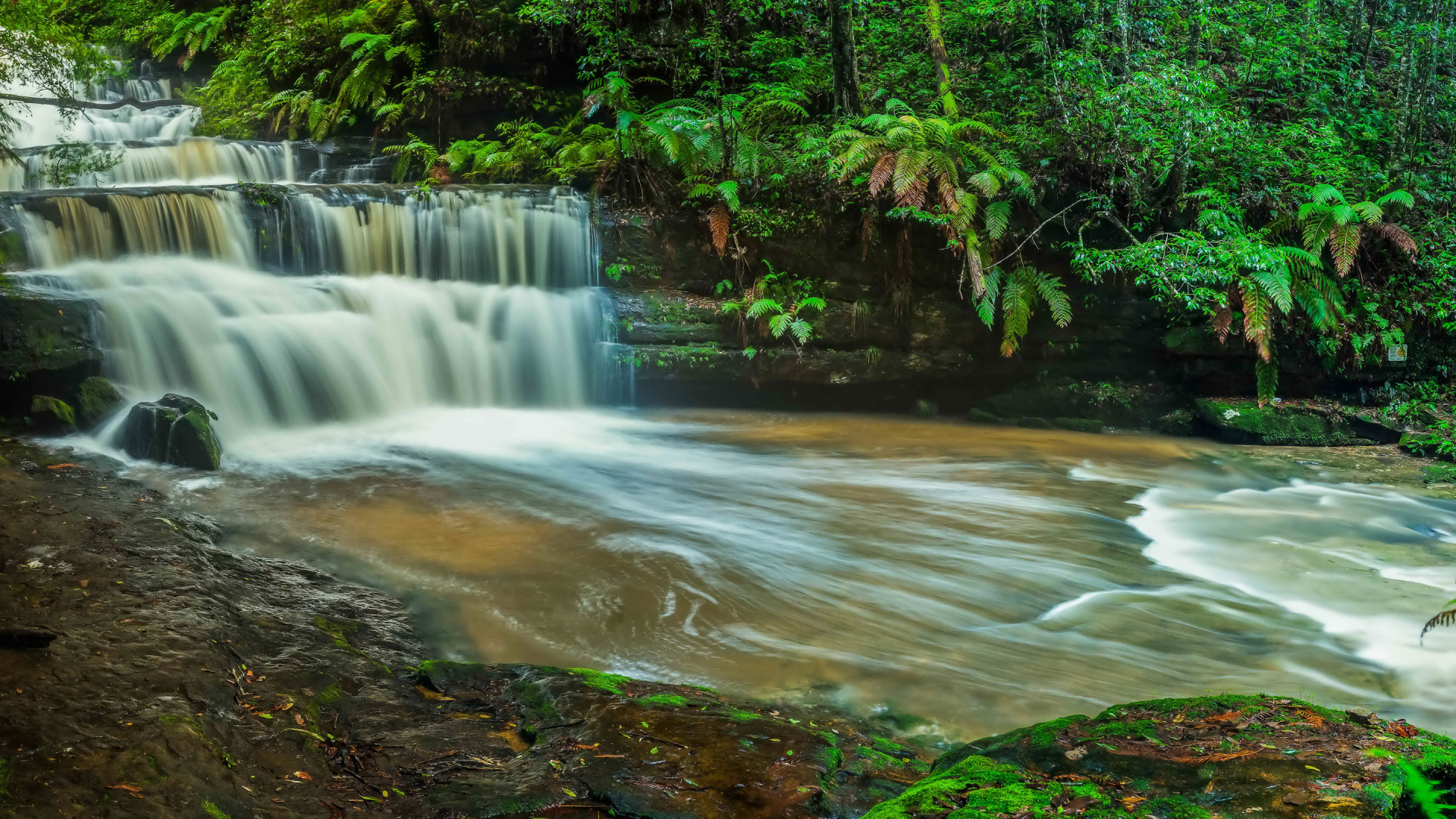 el Agua Cae en Medio Del Bosque. Wallpaper in 1920x1080 Resolution