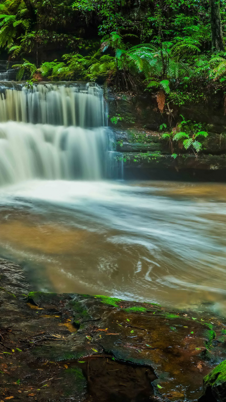 el Agua Cae en Medio Del Bosque. Wallpaper in 750x1334 Resolution