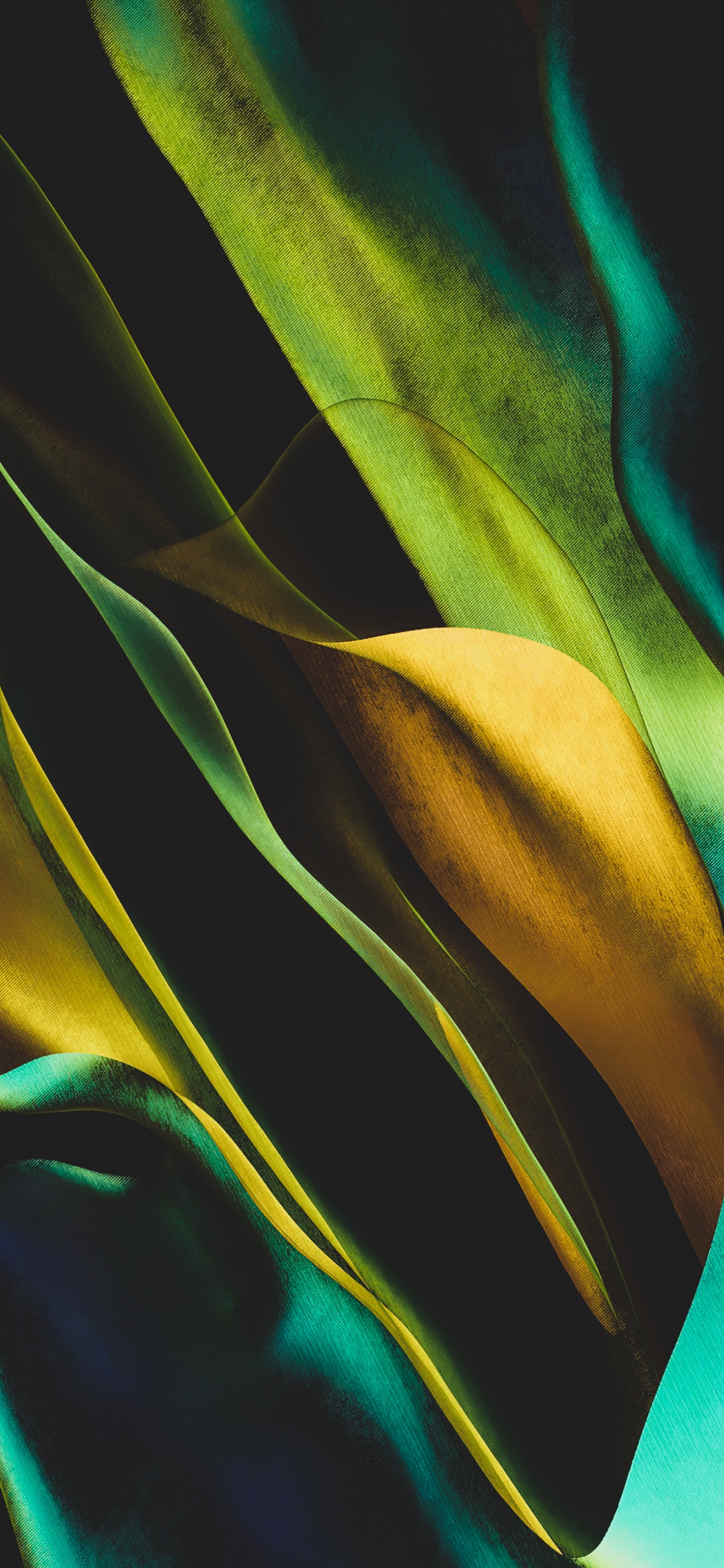 Fermer, L'art Moderne, Biologie, Sciences, Textile. Wallpaper in 1125x2436 Resolution