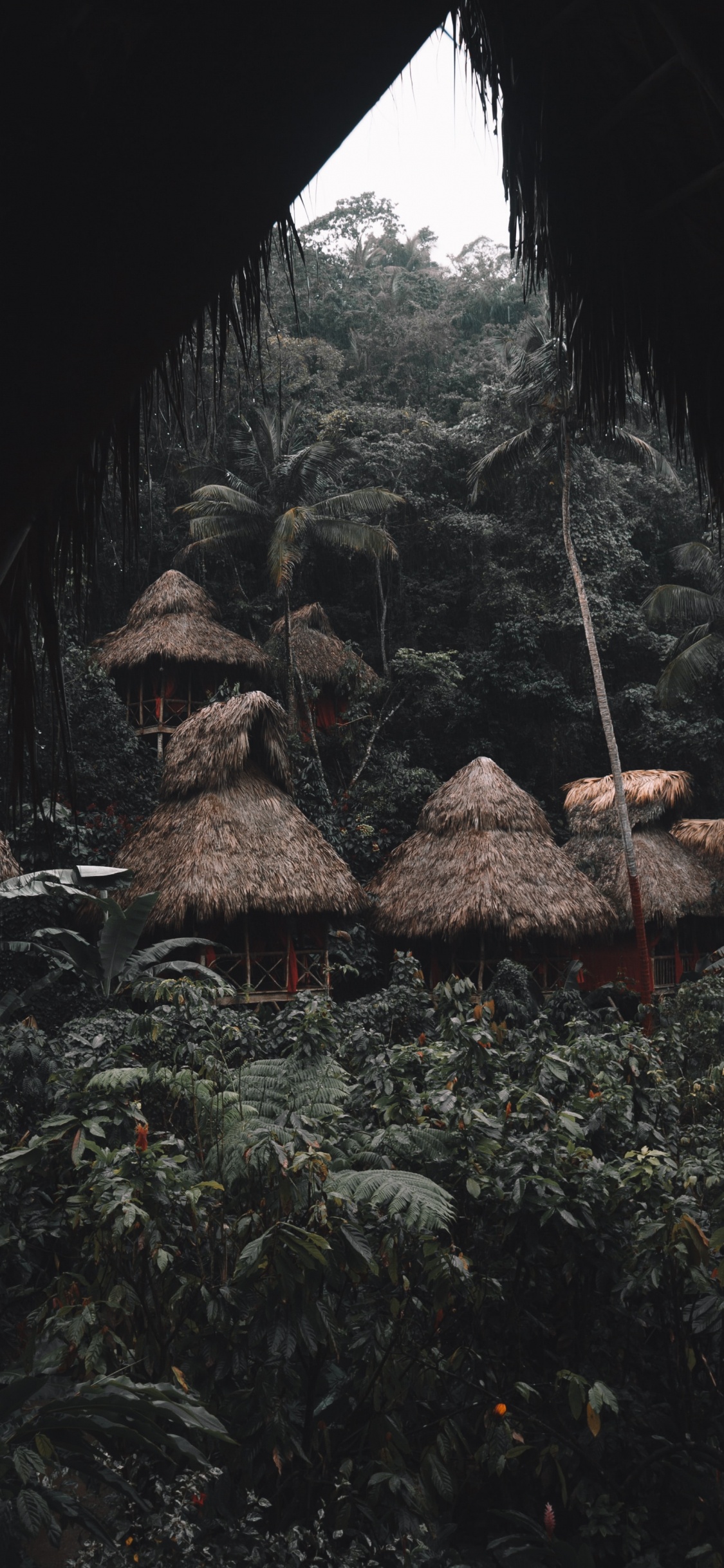 Rock, Feuille, Géologie, Formation, Chambre. Wallpaper in 1125x2436 Resolution