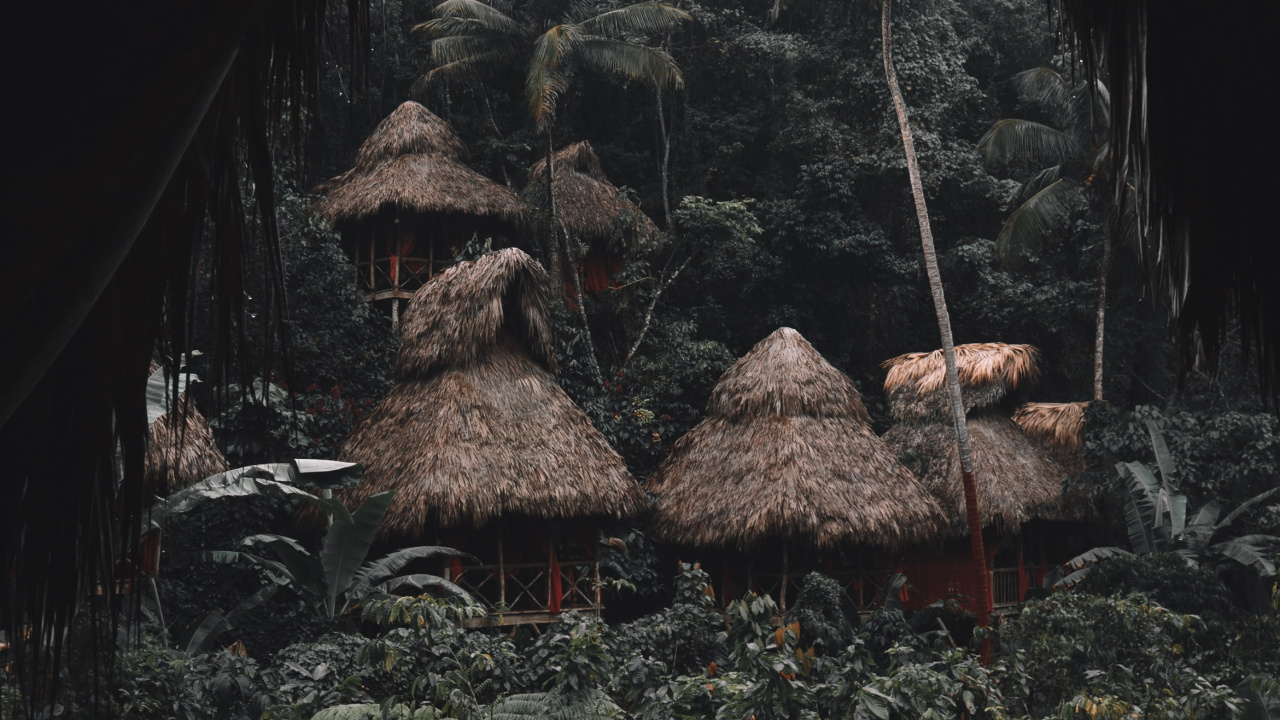 Rock, Feuille, Géologie, Formation, Chambre. Wallpaper in 1280x720 Resolution