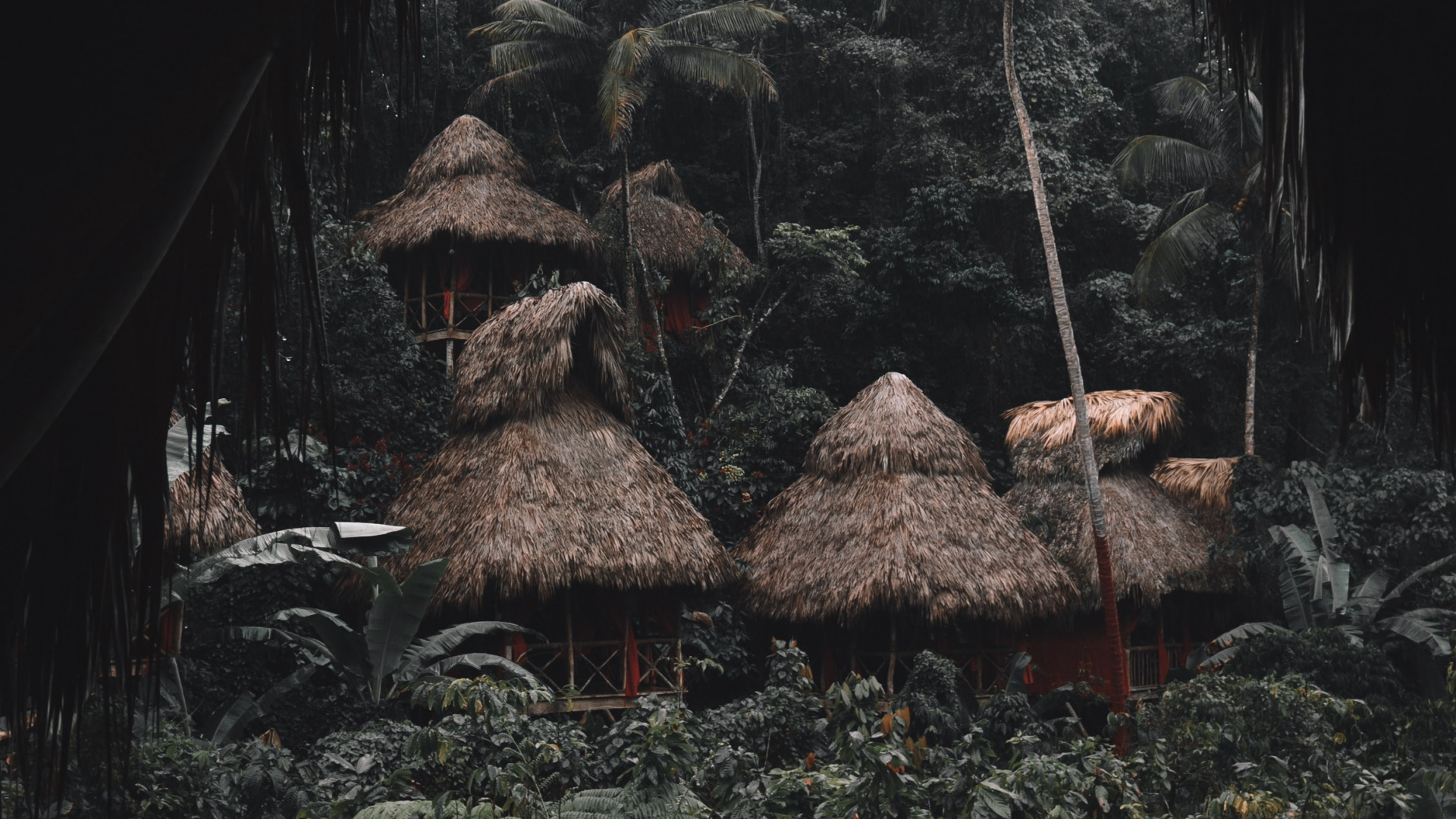 Geología, Habitación, Cueva, Desierto, la Casa Del Árbol. Wallpaper in 1920x1080 Resolution