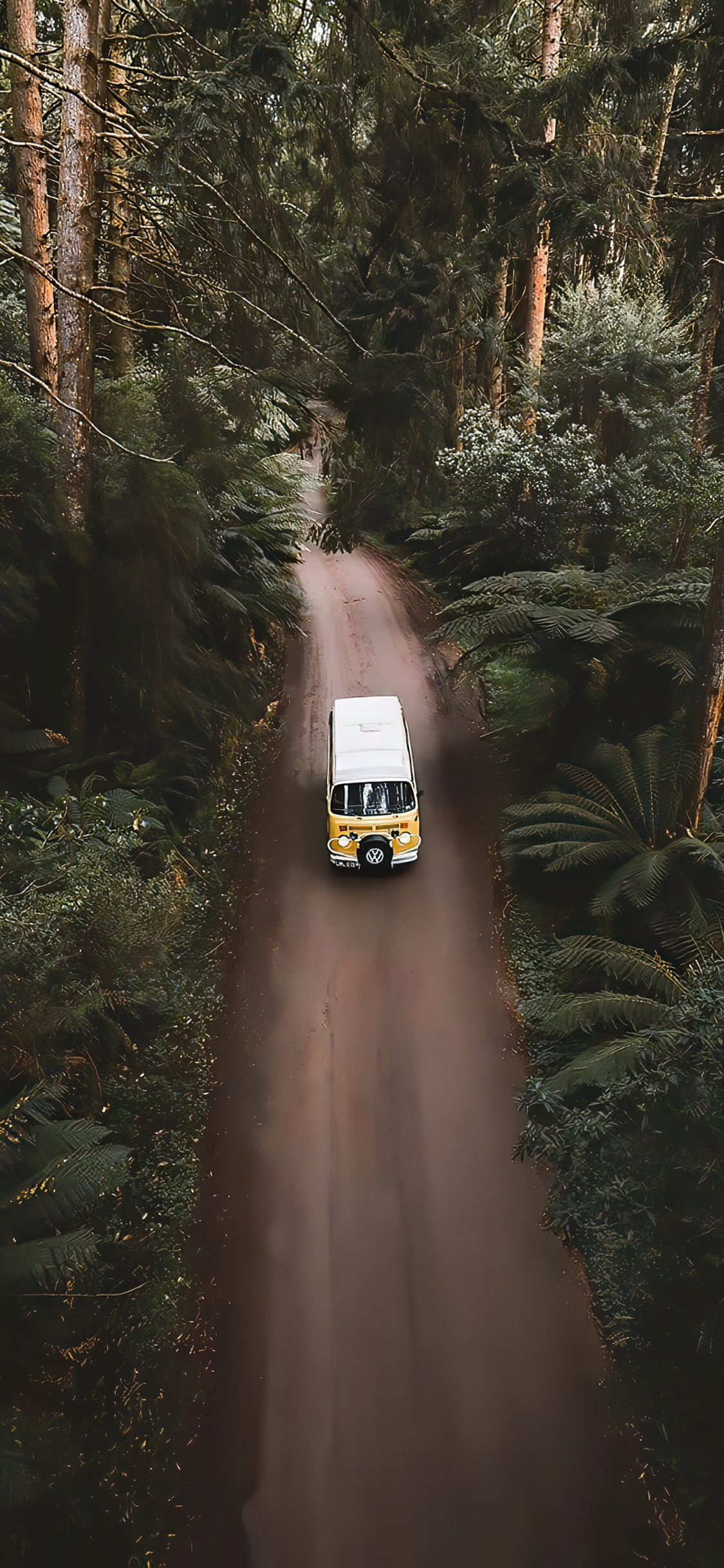 Antique Car, Rallye, Car, Tire, Rad. Wallpaper in 1125x2436 Resolution