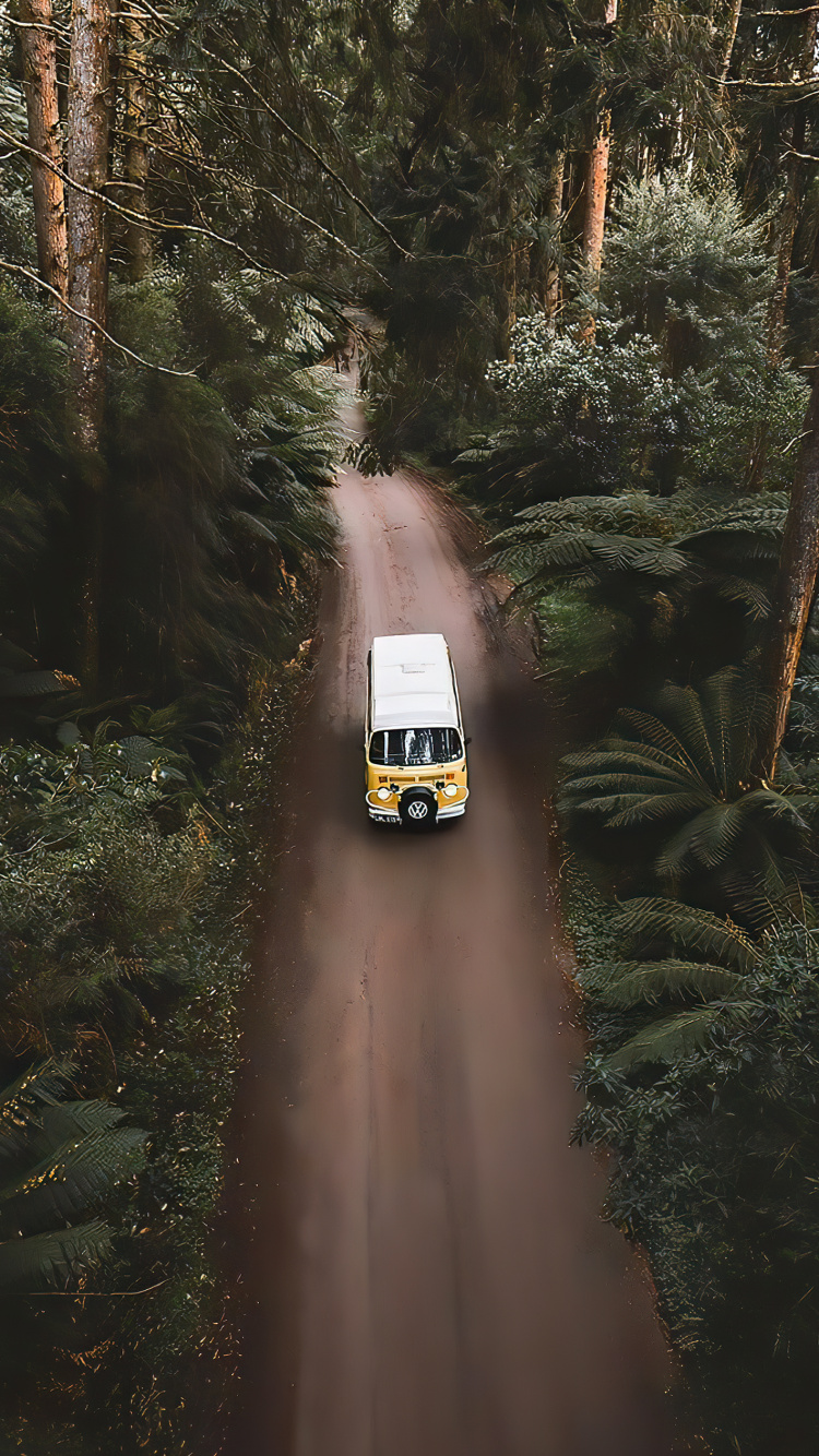 Antique Car, Rallying, Cars, Tire, Plant. Wallpaper in 750x1334 Resolution