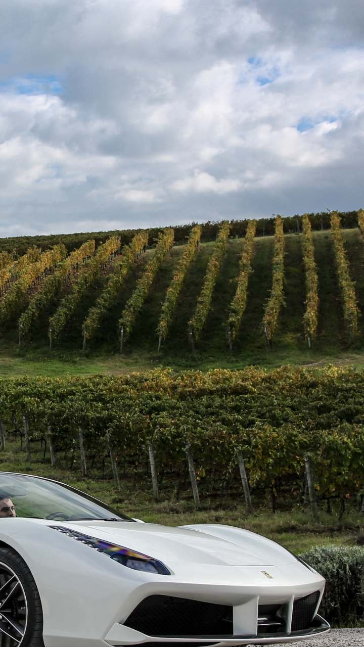 Weißer Porsche 911 Tagsüber Unterwegs. Wallpaper in 720x1280 Resolution