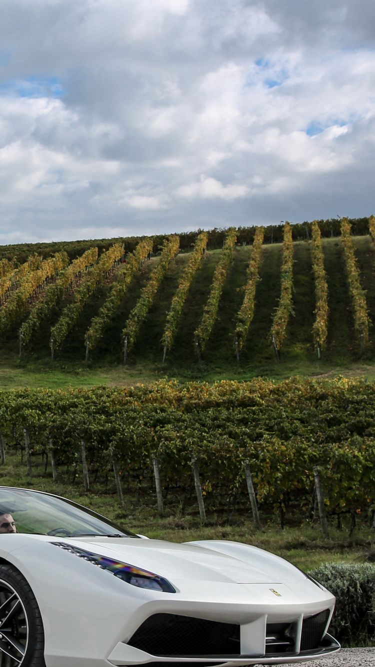 Porsche 911 Blanche Sur Route Pendant la Journée. Wallpaper in 750x1334 Resolution