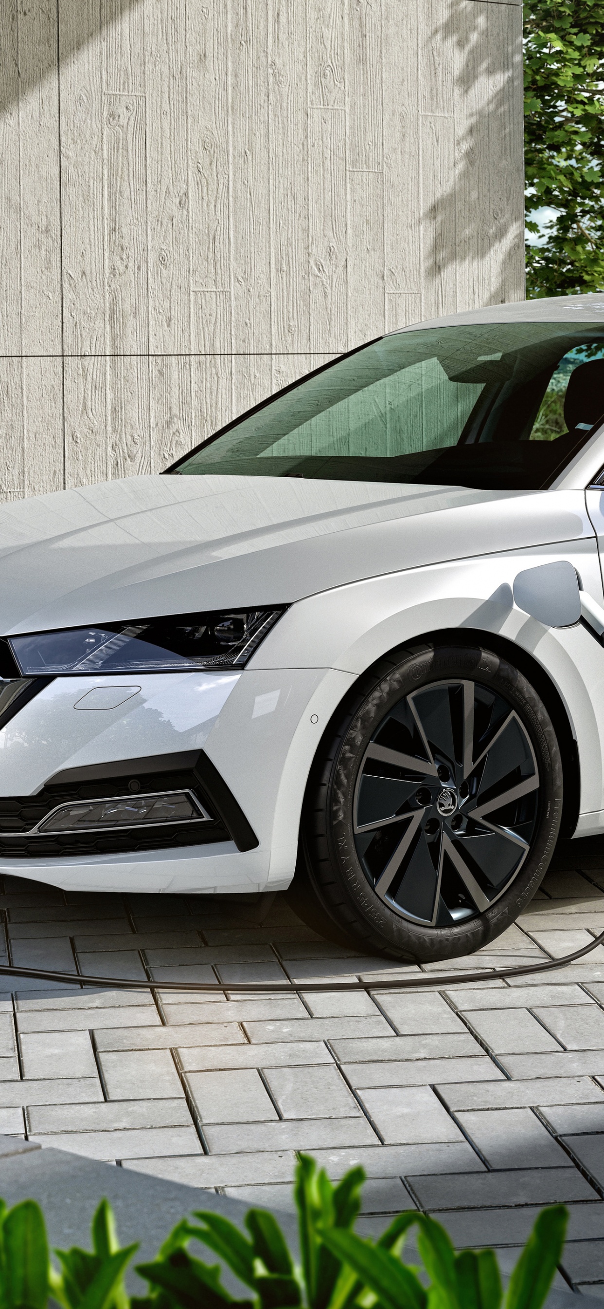 Code de Voiture, Groupe Volkswagen, Skoda Octavia, Skoda Octavia Combi, Volkswagen Golf. Wallpaper in 1242x2688 Resolution