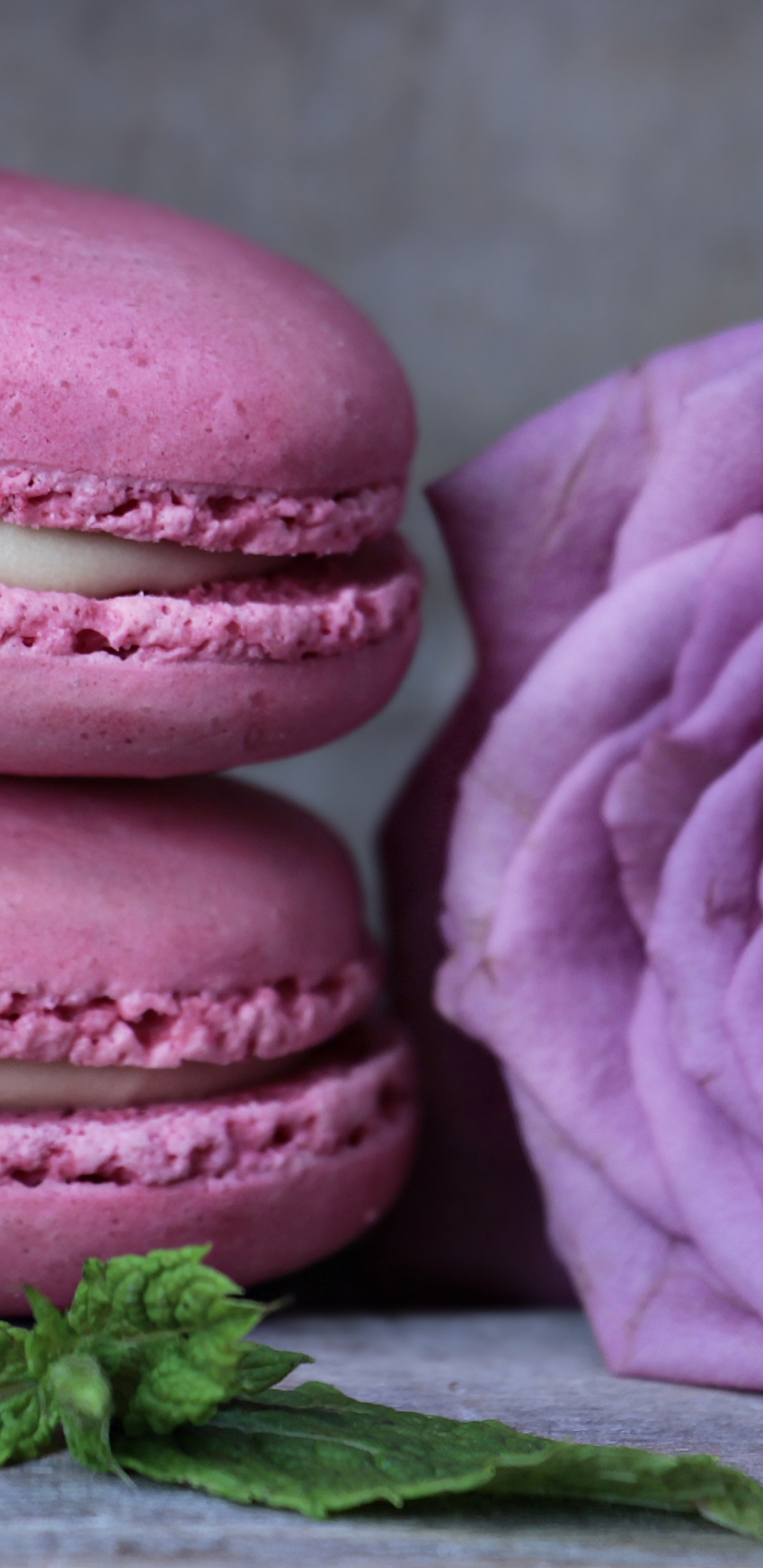 3 Pink Cupcakes on Gray Wooden Table. Wallpaper in 1440x2960 Resolution