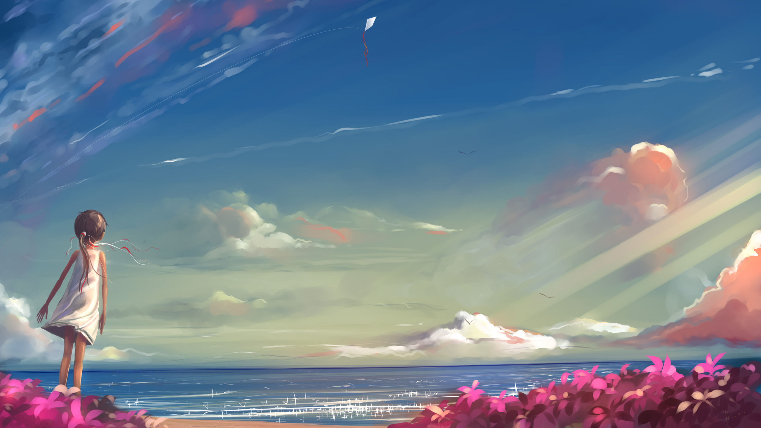 Red Flower Field Near Sea Under Blue Sky During Daytime. Wallpaper in 2560x1440 Resolution