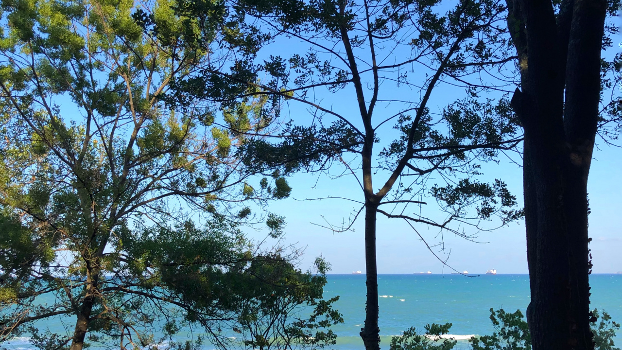 Naturaleza, la Física, Sucursal, Orilla, Ramita. Wallpaper in 1280x720 Resolution