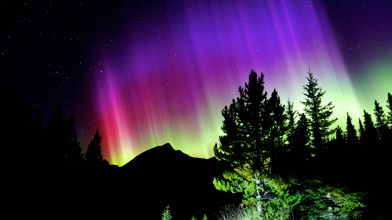 Nacht, Aurora, Natur, Naturlandschaft, Baum. Wallpaper in 1366x768 Resolution