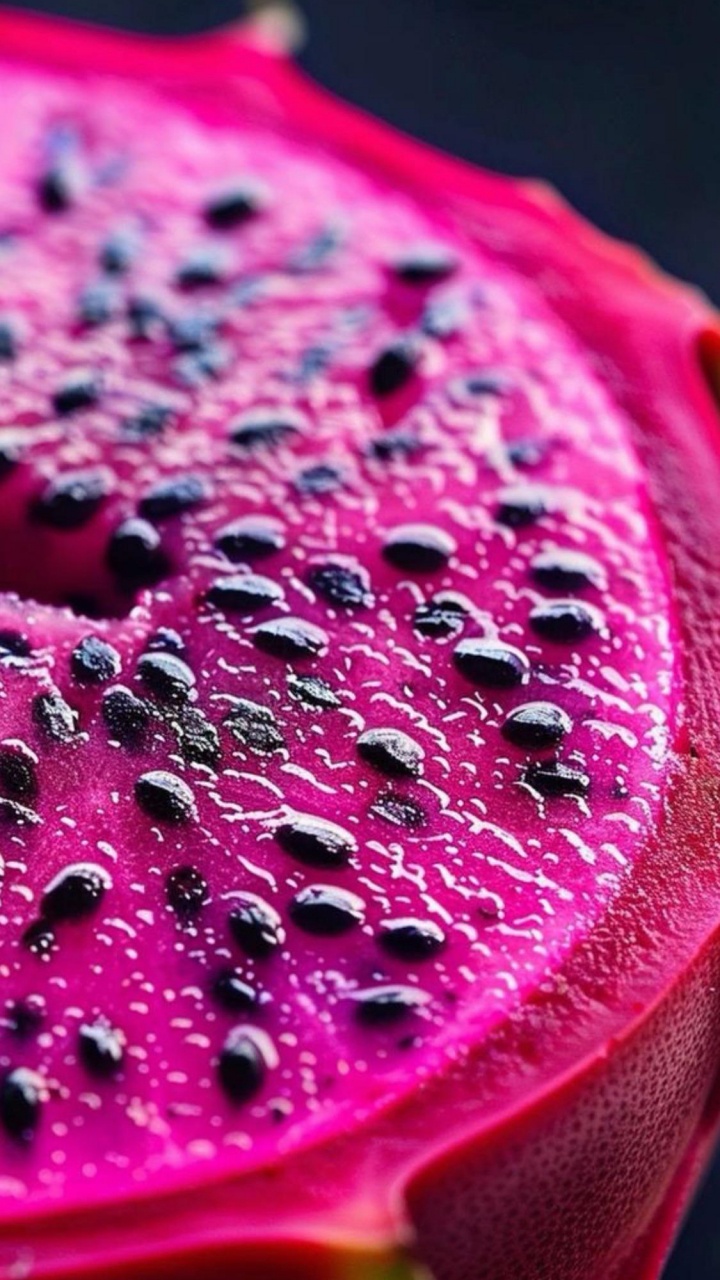 Close Up, Water, Petal, Purple, Terrestrial Plant. Wallpaper in 720x1280 Resolution