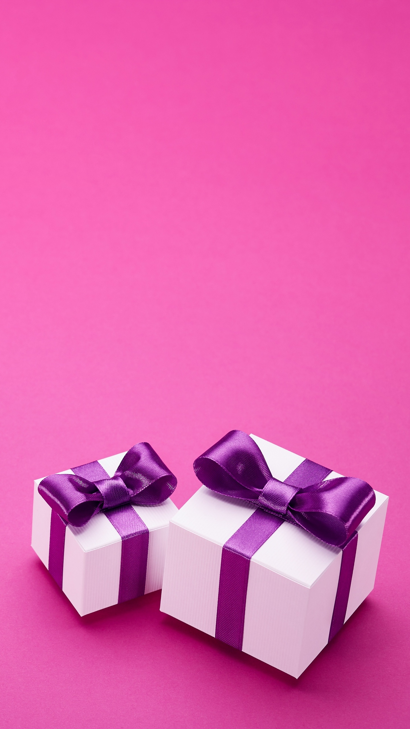 Rosa, Actualidad, Morado, Magenta, Violeta. Wallpaper in 1440x2560 Resolution