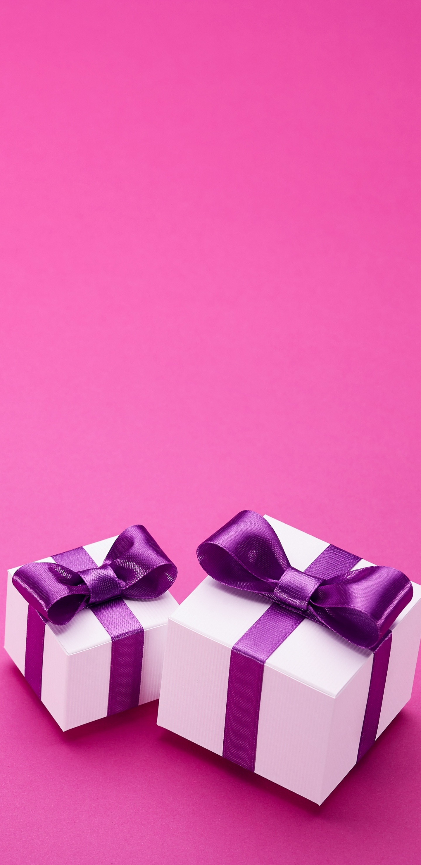 Rosa, Actualidad, Morado, Magenta, Violeta. Wallpaper in 1440x2960 Resolution