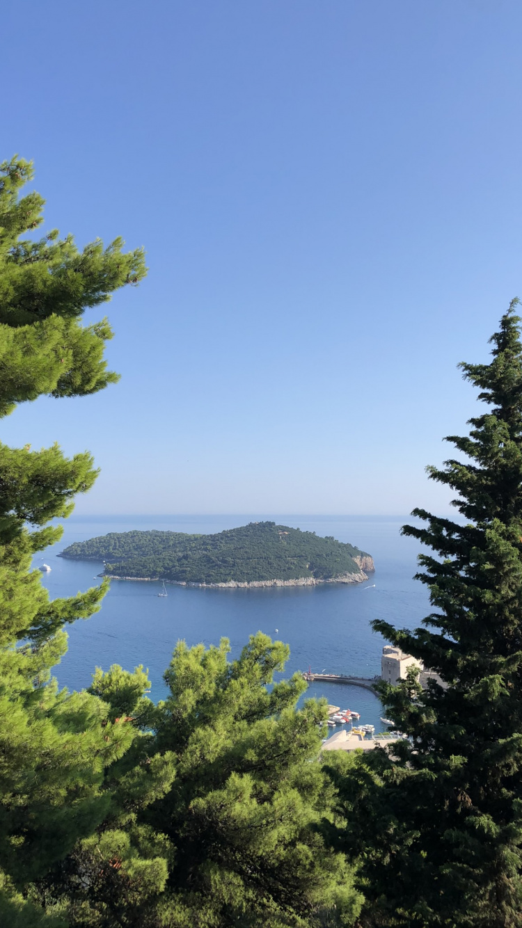 植被, 自然景观, Evergreen, 生物群落, 落叶松 壁纸 750x1334 允许