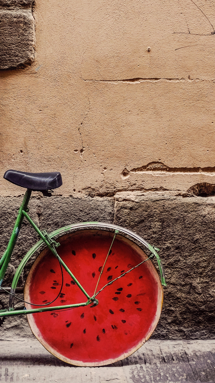 Bicicleta, Ktm, Ciclismo, Neumatico, Rueda. Wallpaper in 750x1334 Resolution