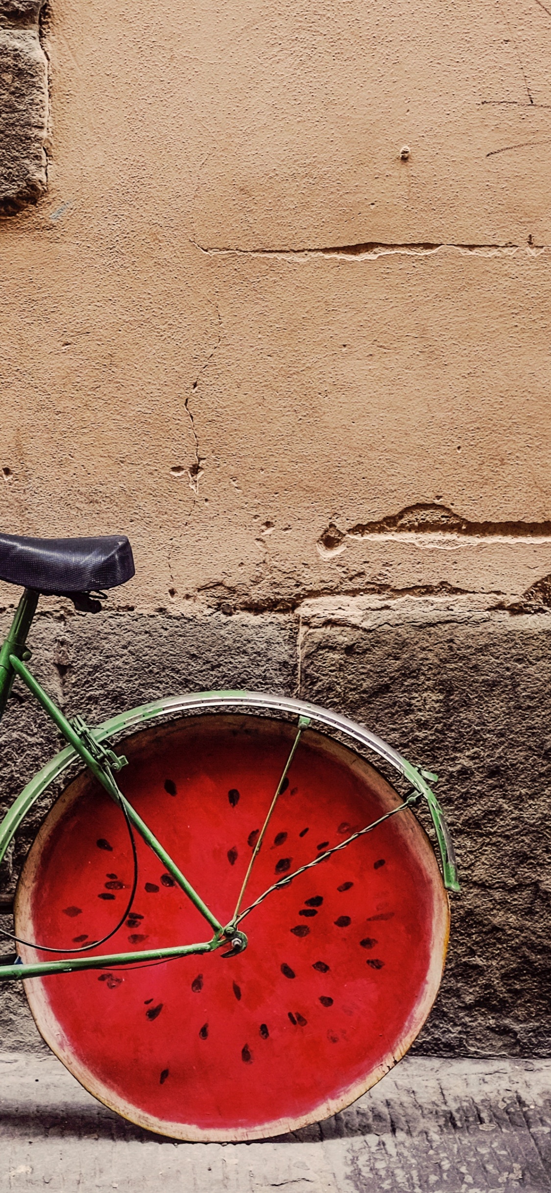 Fahrradverleih, Ktm, Radfahren, Tire, Rad. Wallpaper in 1125x2436 Resolution