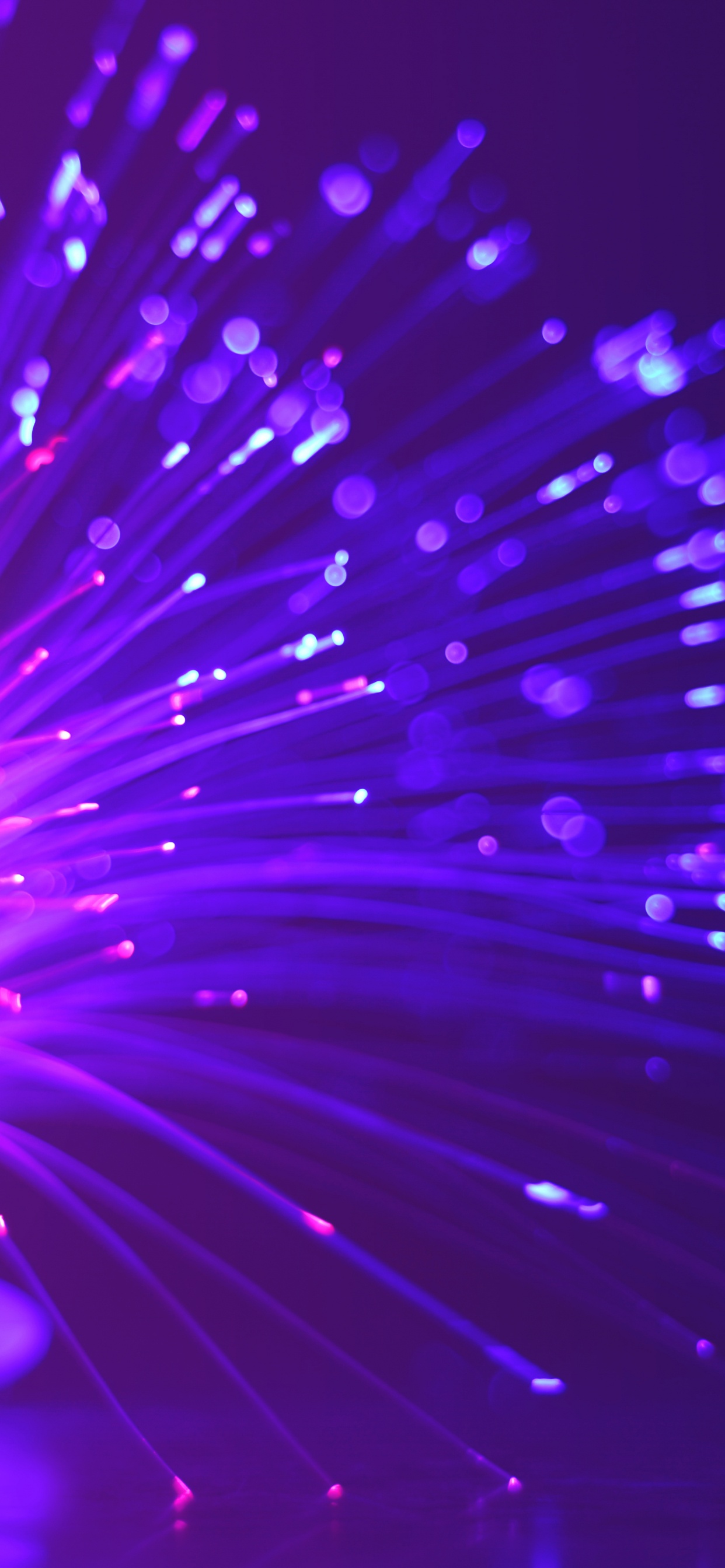 Blue and Purple Lights in Black Background. Wallpaper in 1242x2688 Resolution