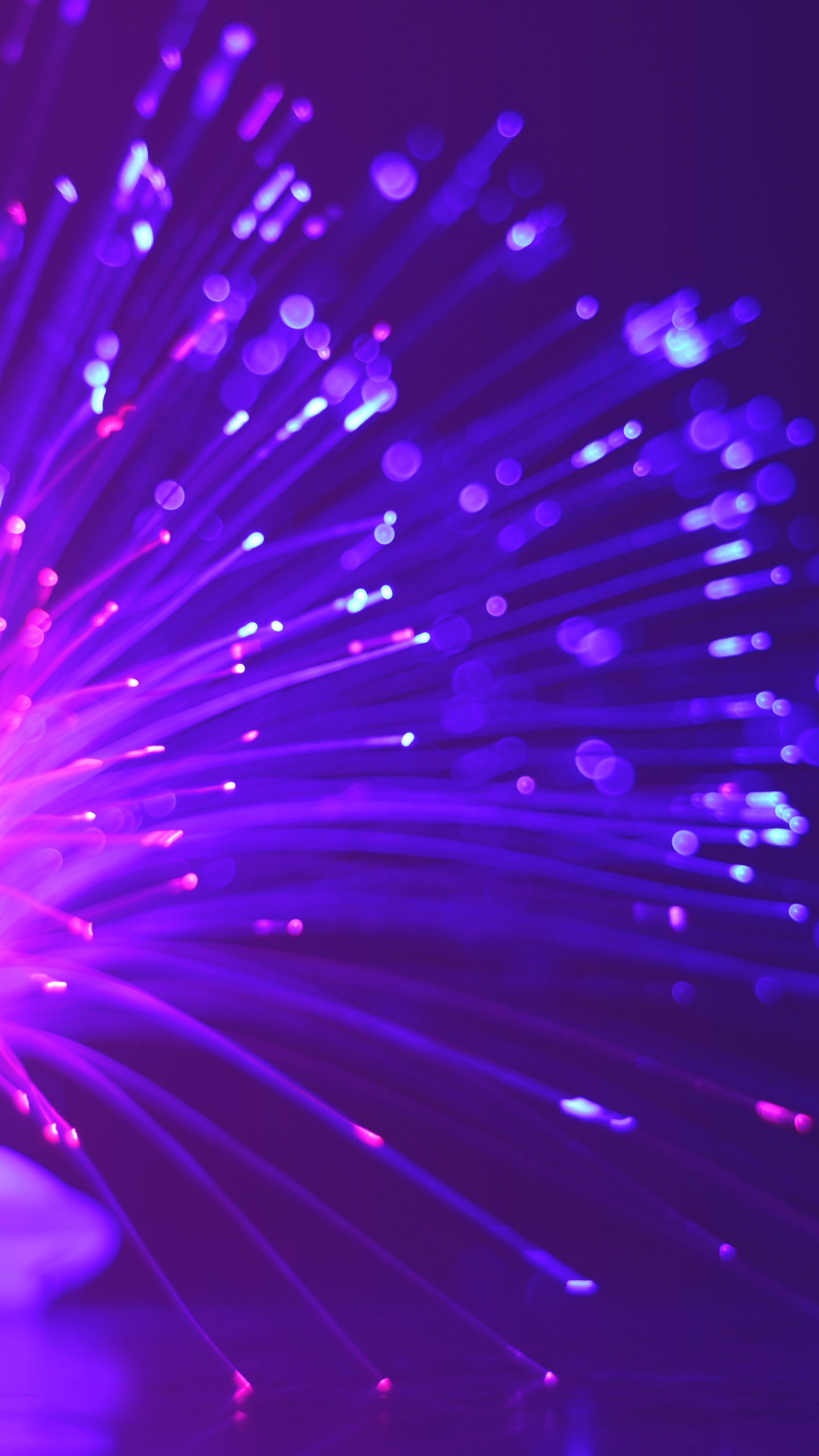 Blue and Purple Lights in Black Background. Wallpaper in 1440x2560 Resolution