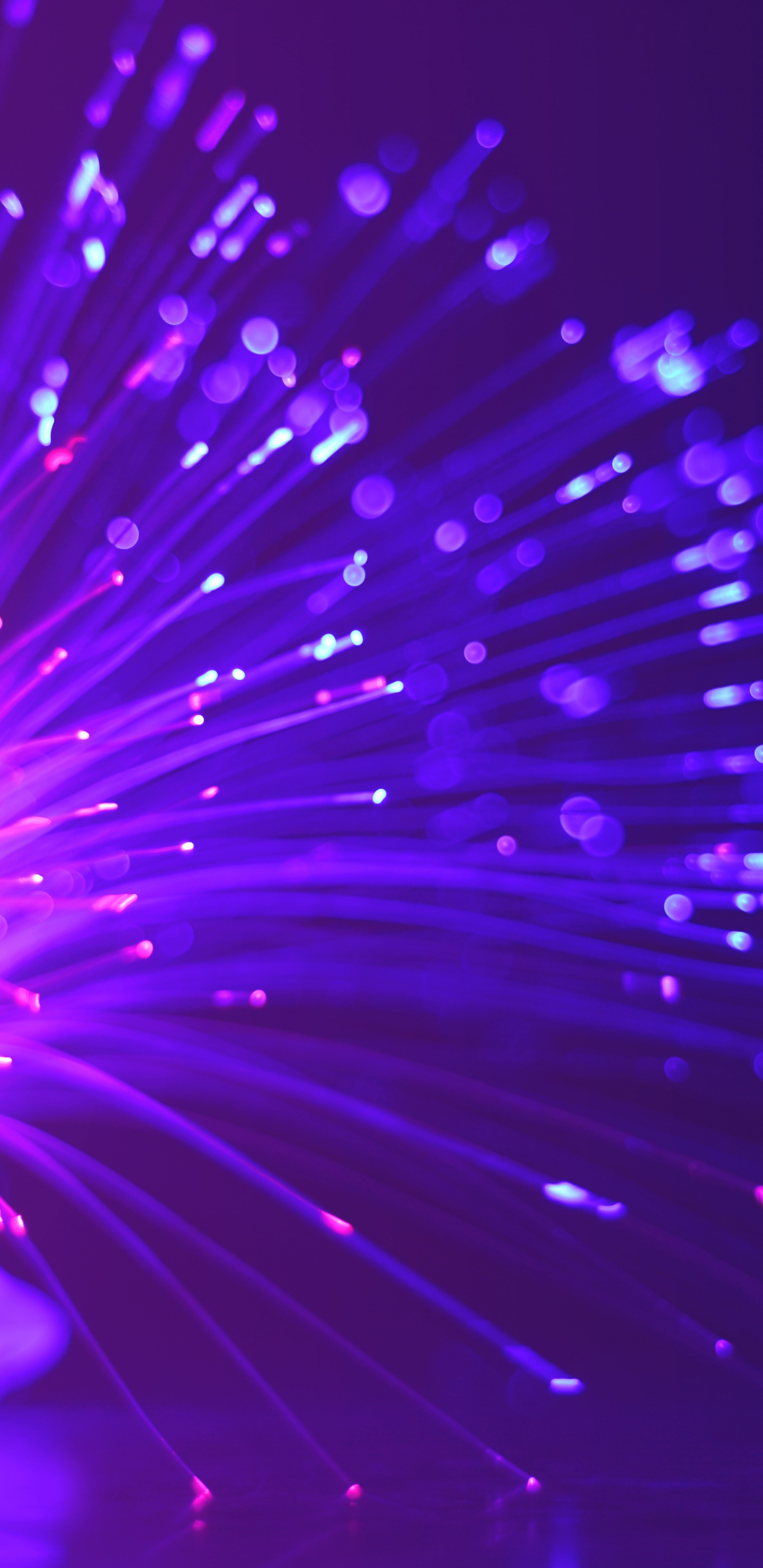 Lumières Bleues et Violettes Sur Fond Noir. Wallpaper in 1440x2960 Resolution
