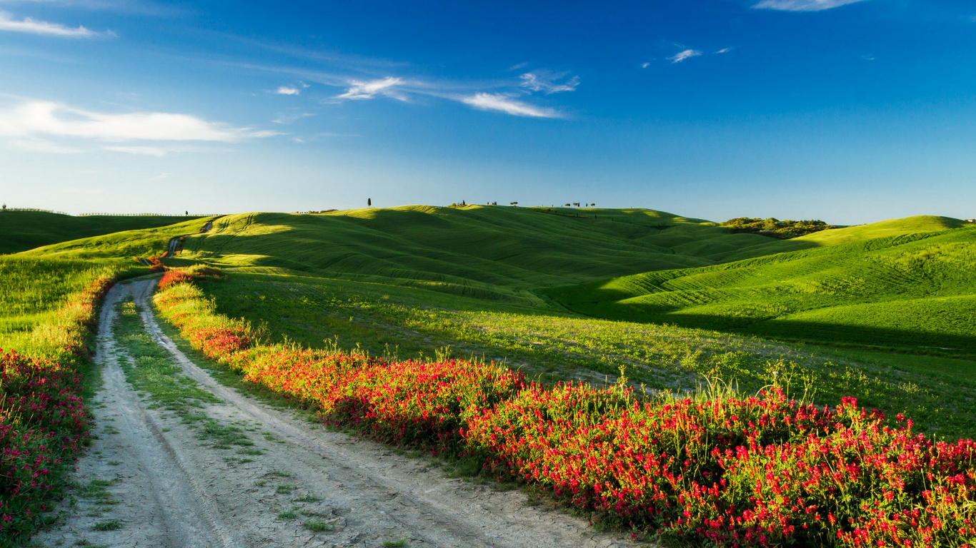 Graue Asphaltstraße Zwischen Grüner Wiese Unter Blauem Himmel Tagsüber. Wallpaper in 1366x768 Resolution