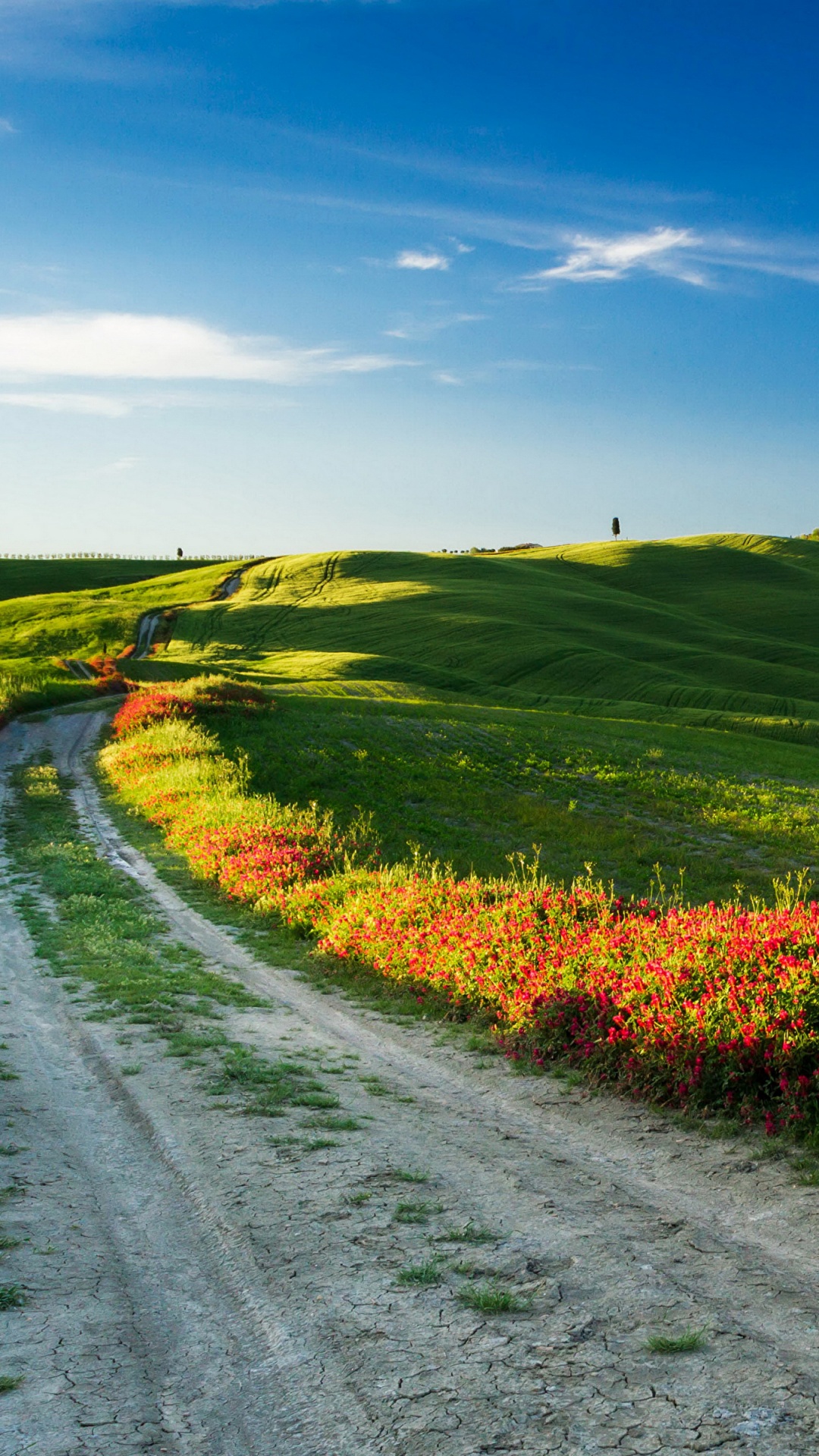 Gray Asphalt Road Between Green Grass Field Under Blue Sky During Daytime. Wallpaper in 1080x1920 Resolution