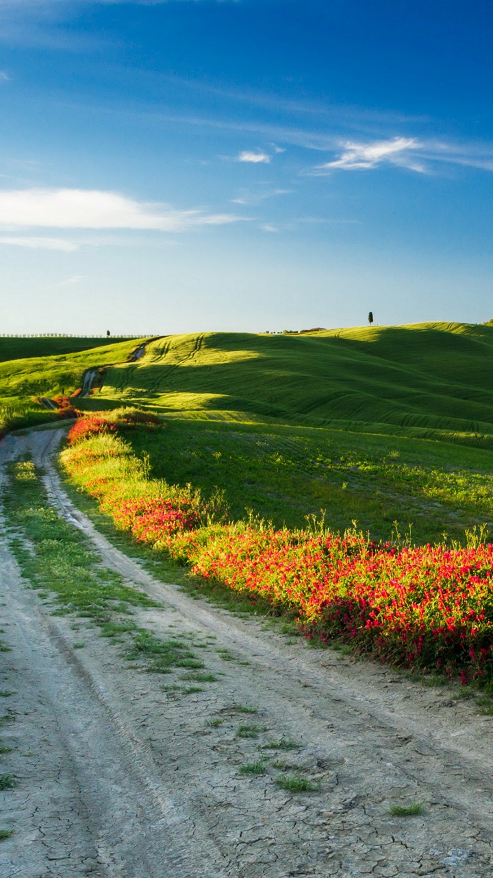 Gray Asphalt Road Between Green Grass Field Under Blue Sky During Daytime. Wallpaper in 720x1280 Resolution