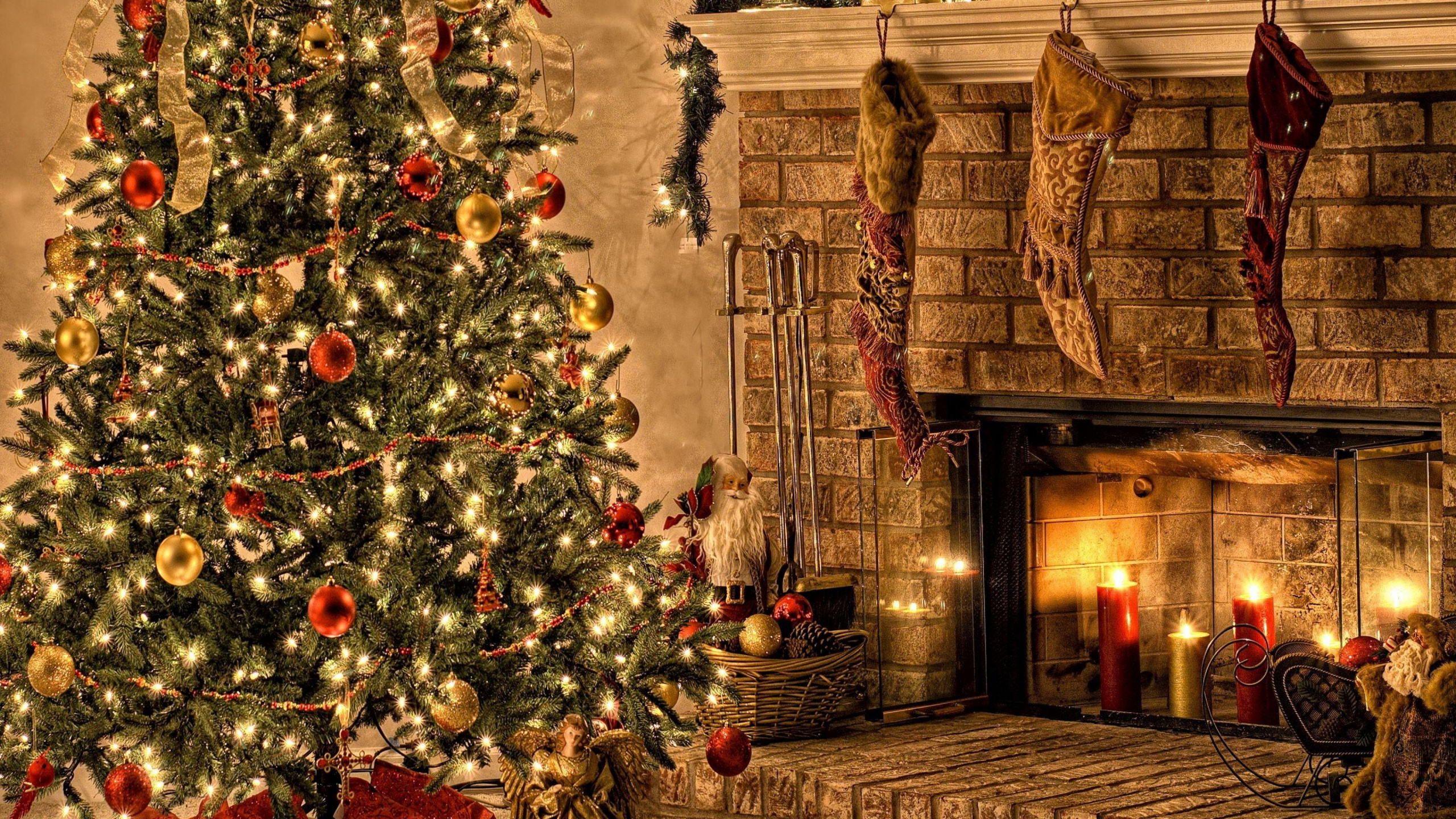 Weihnachtsbaum, Weihnachtsdekoration, Fir, Fichte, Immergrün. Wallpaper in 2560x1440 Resolution