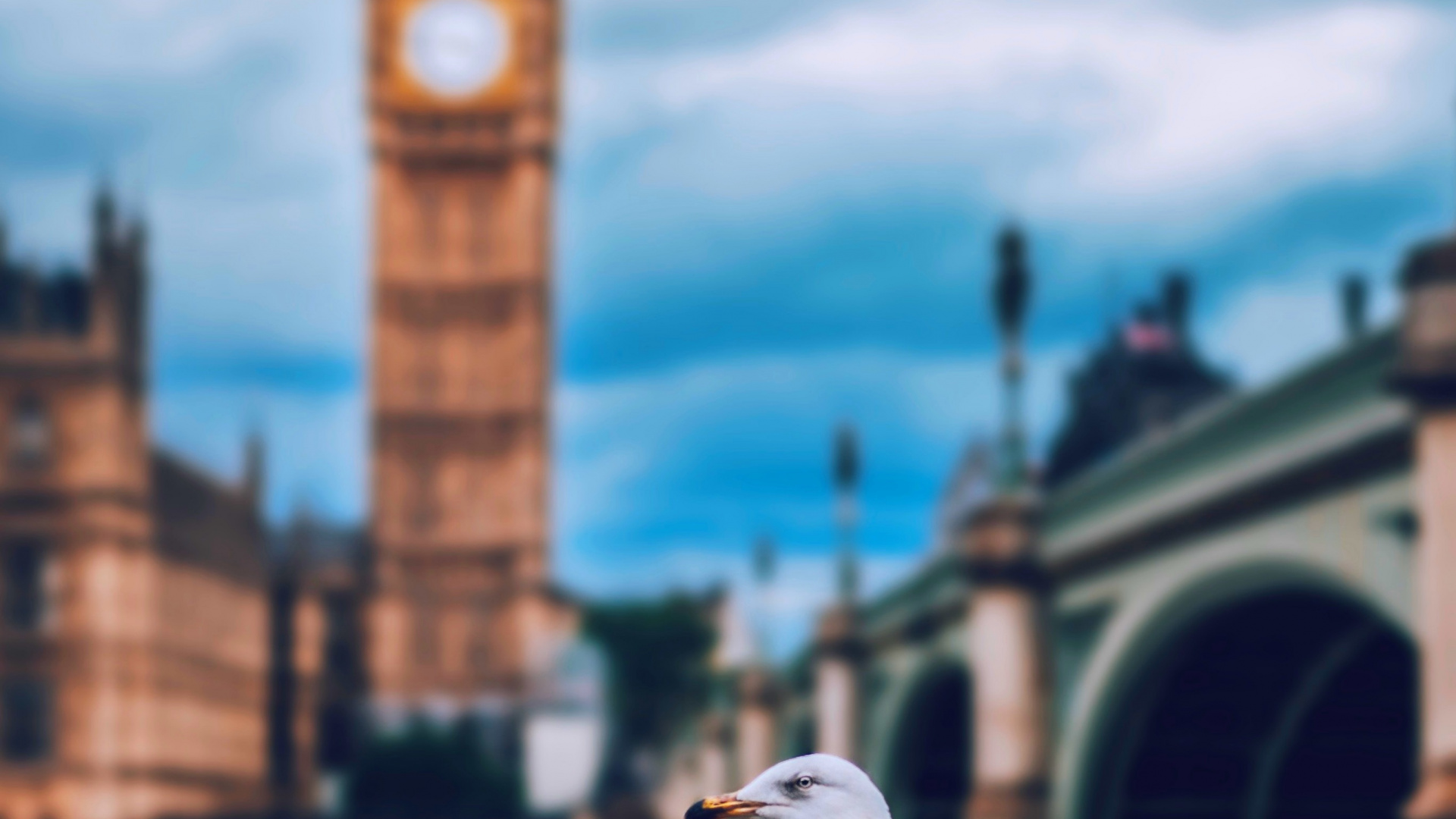 Londres, el Big Ben, Palacio de Westminster, Torre Del Reloj, Gaviota. Wallpaper in 1920x1080 Resolution