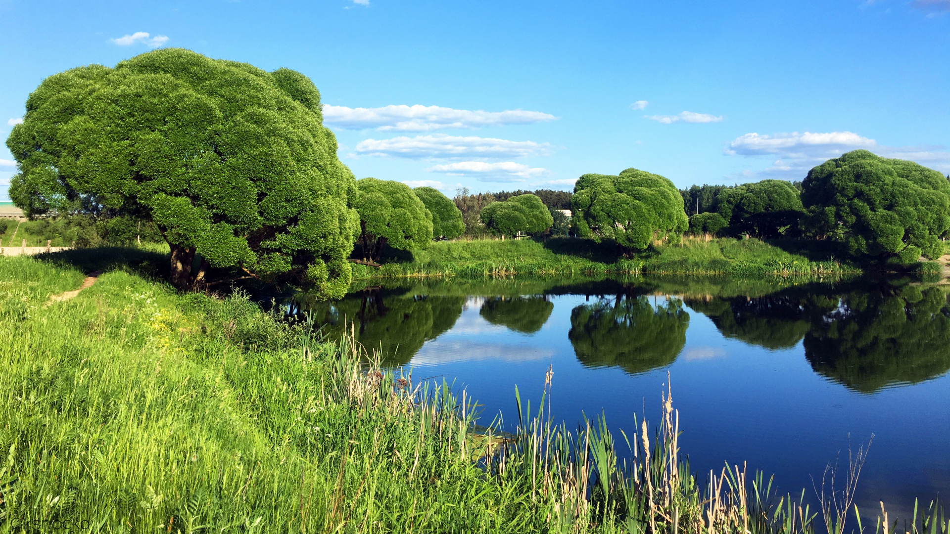 Green Trees Near Lake Under Blue Sky During Daytime. Wallpaper in 1920x1080 Resolution