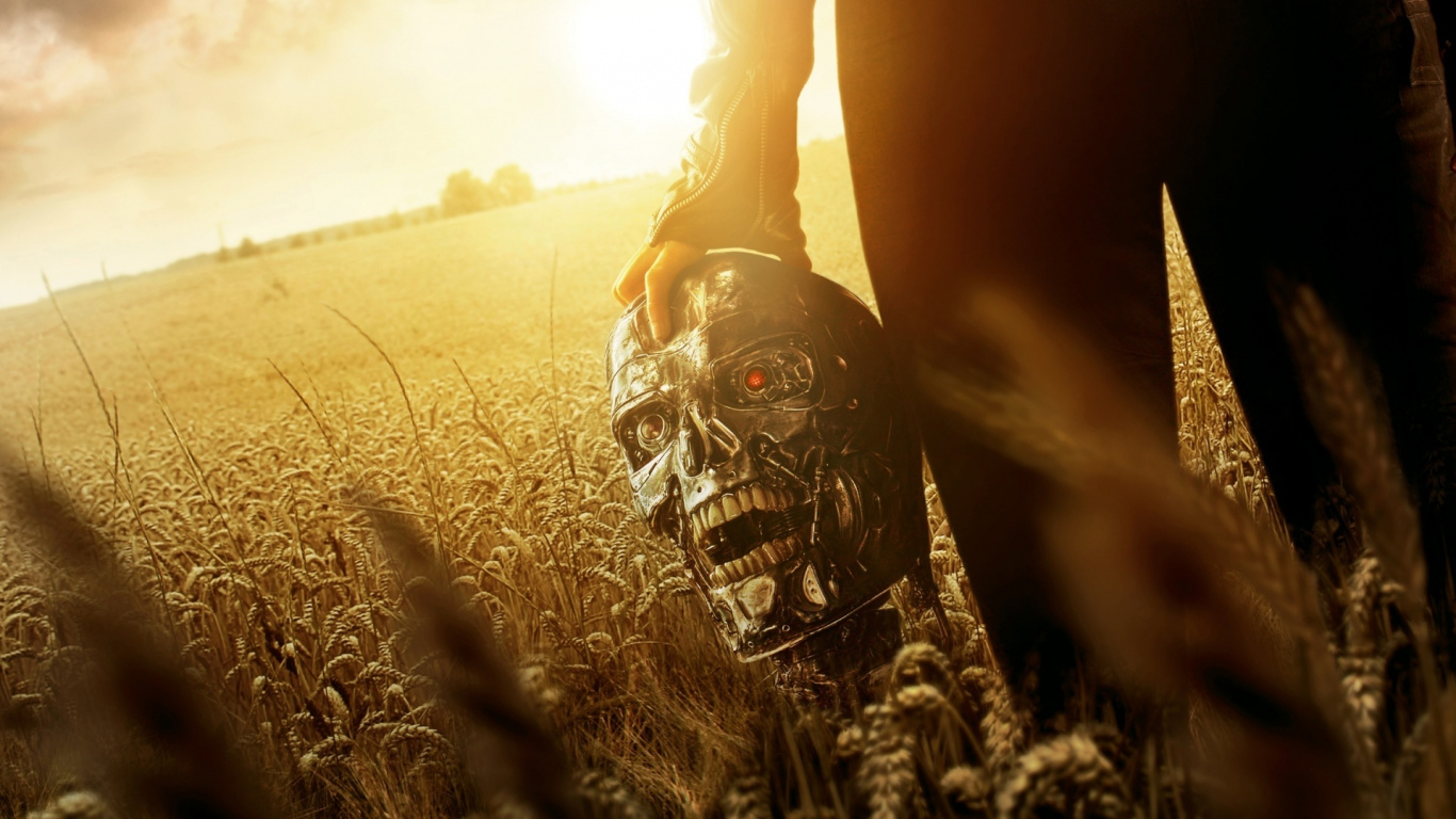 Person Mit Schwarzem Helm Auf Braunem Feld Tagsüber. Wallpaper in 1366x768 Resolution