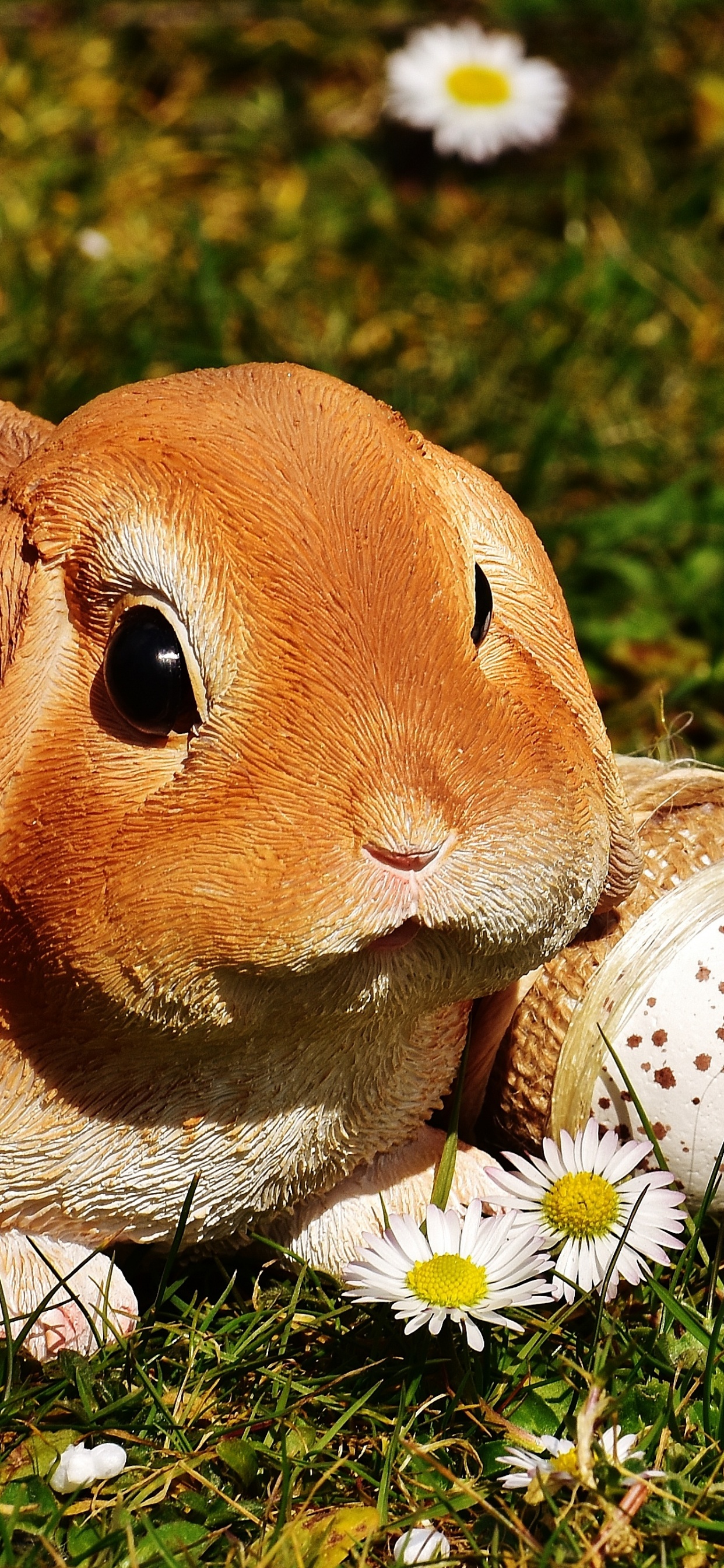 Conejito de Pascua, Conejo, Liebre, Huevo de Pascua, Fawn. Wallpaper in 1242x2688 Resolution