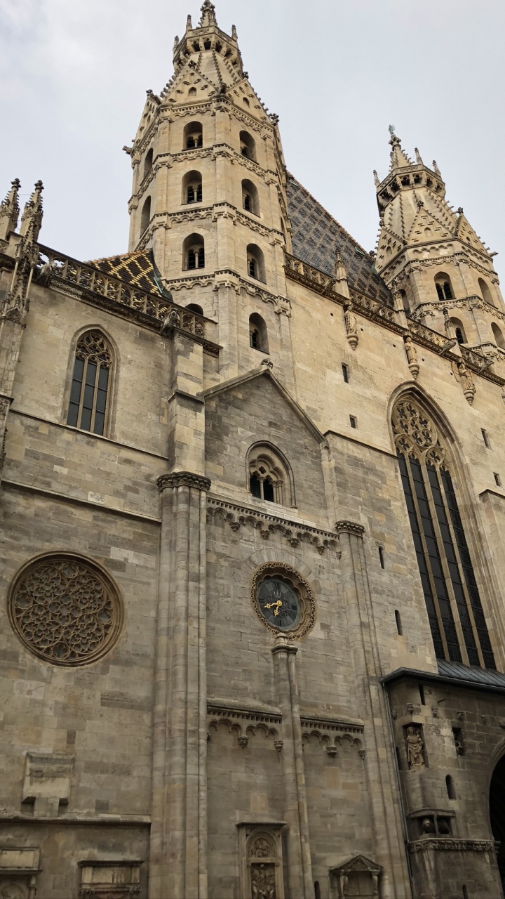 Catedral de San Esteban, Arquitectura, Fachada, Lugar de Culto, Capilla. Wallpaper in 720x1280 Resolution