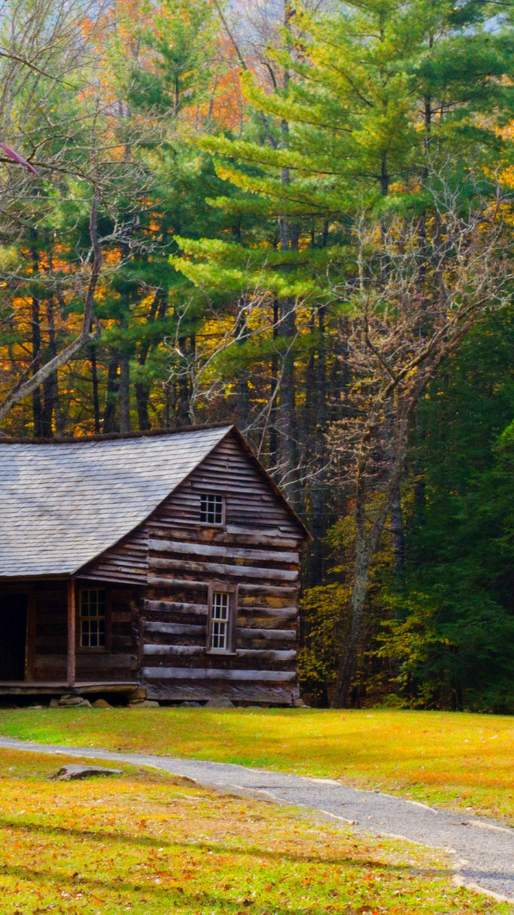 Maison en Bois Brune au Milieu de la Forêt Pendant la Journée. Wallpaper in 750x1334 Resolution