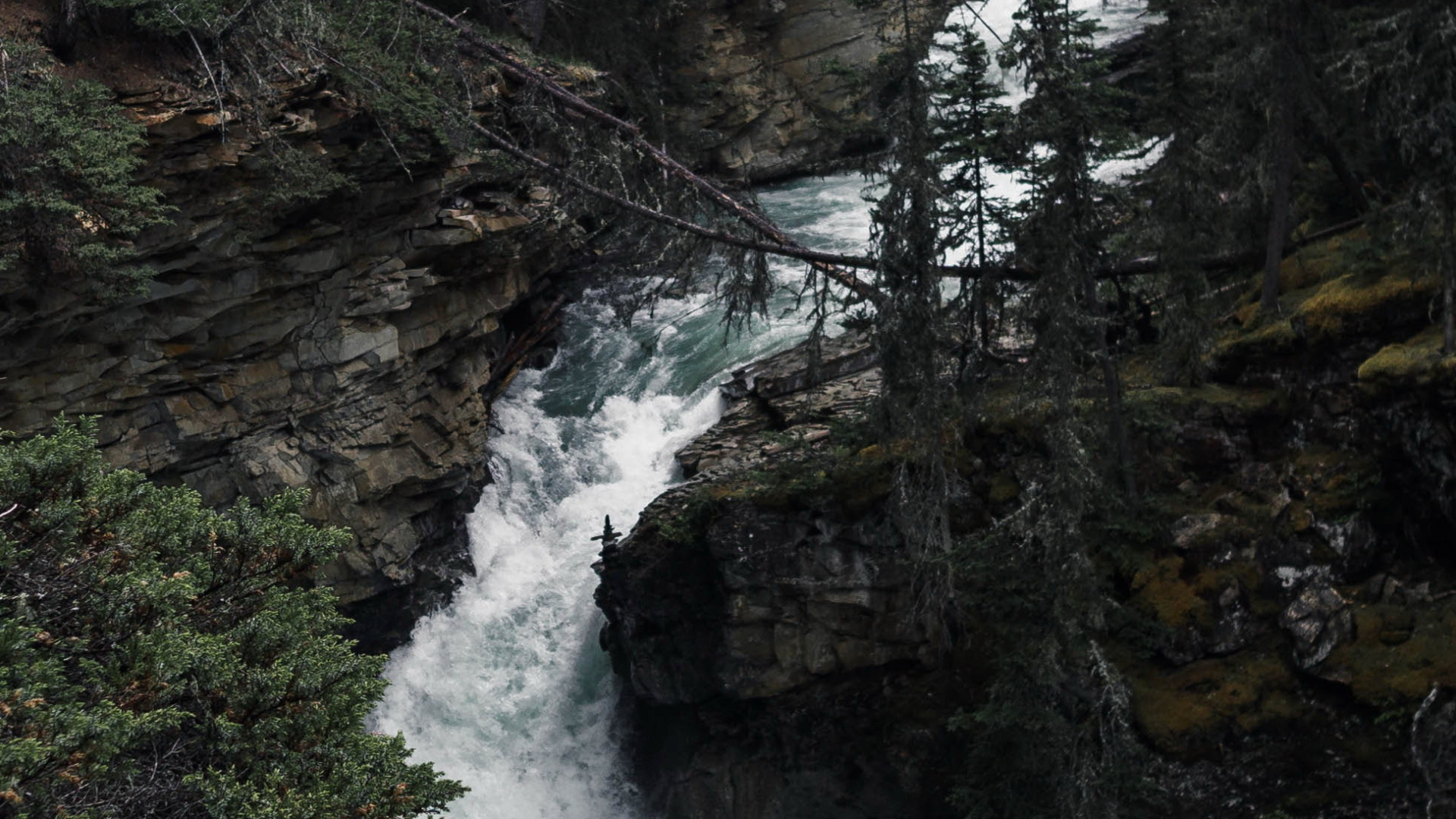 Natur, Wasser, Wasserressourcen, Naturlandschaft, Baum. Wallpaper in 1920x1080 Resolution