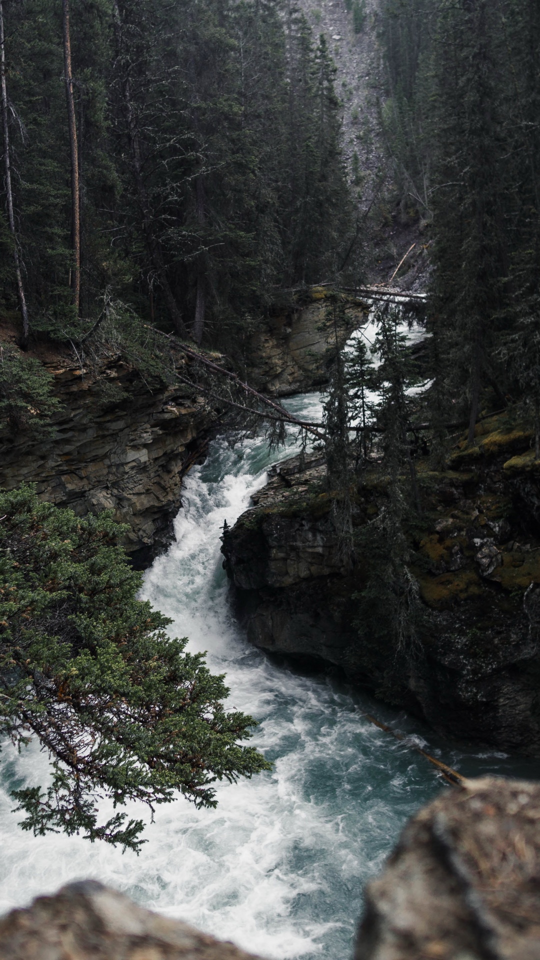 Nature, Eau, Les Ressources en Eau, Paysage Naturel, Cours D'eau. Wallpaper in 1080x1920 Resolution