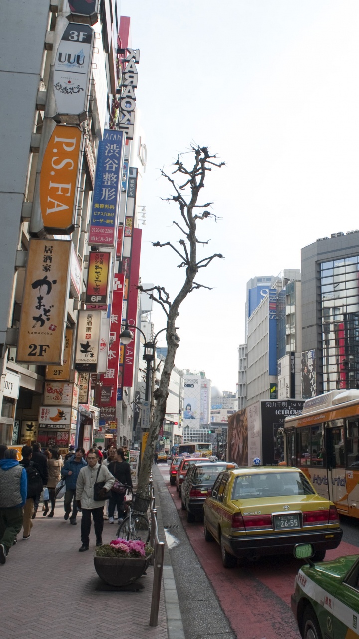 城市, 大都会, 街, 街区, 东京 壁纸 720x1280 允许